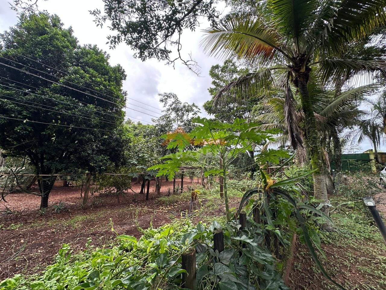 Chácara, 3 quartos, 1 hectares - Foto 5