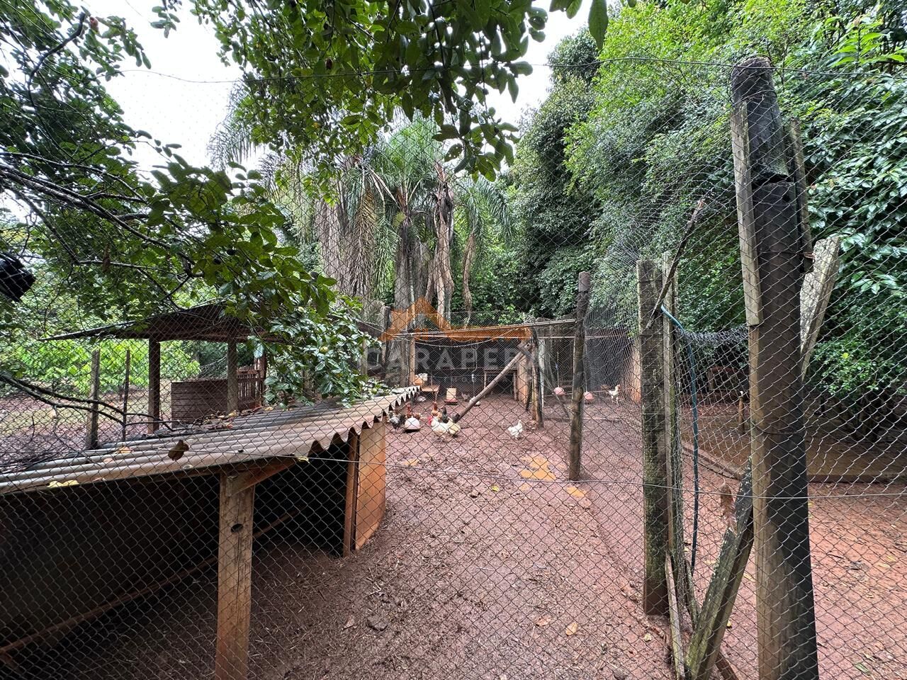 Chácara, 3 quartos, 1 hectares - Foto 17