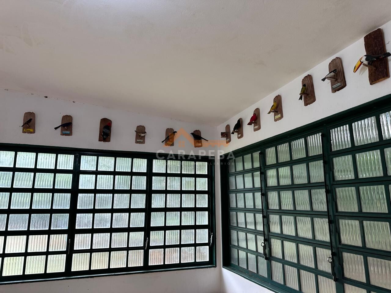 Chácara, 3 quartos, 1 hectares - Foto 32