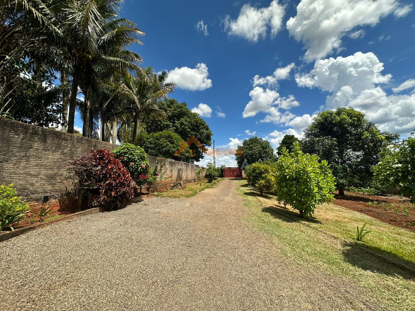 Sítio, 3 quartos, 2372 m² - Foto 21