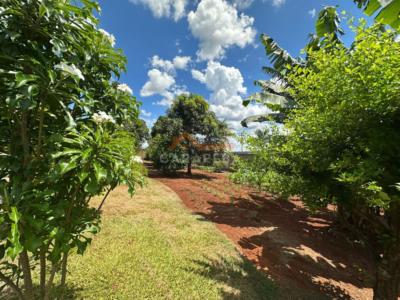 Sítio, 3 quartos, 2372 m² - Foto 20