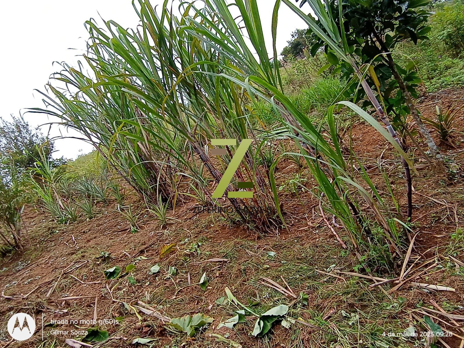 Chácara, 1 quarto, 1000 m² - Foto 15