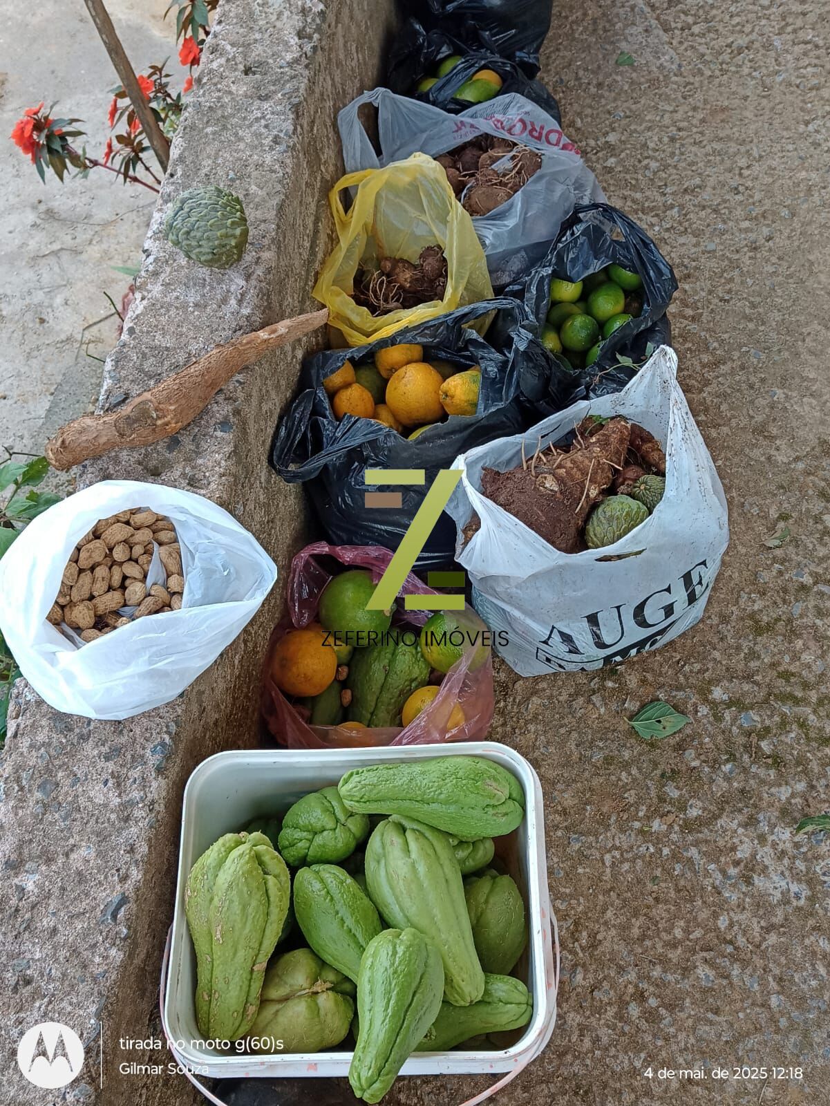 Chácara, 1 quarto, 1000 m² - Foto 8