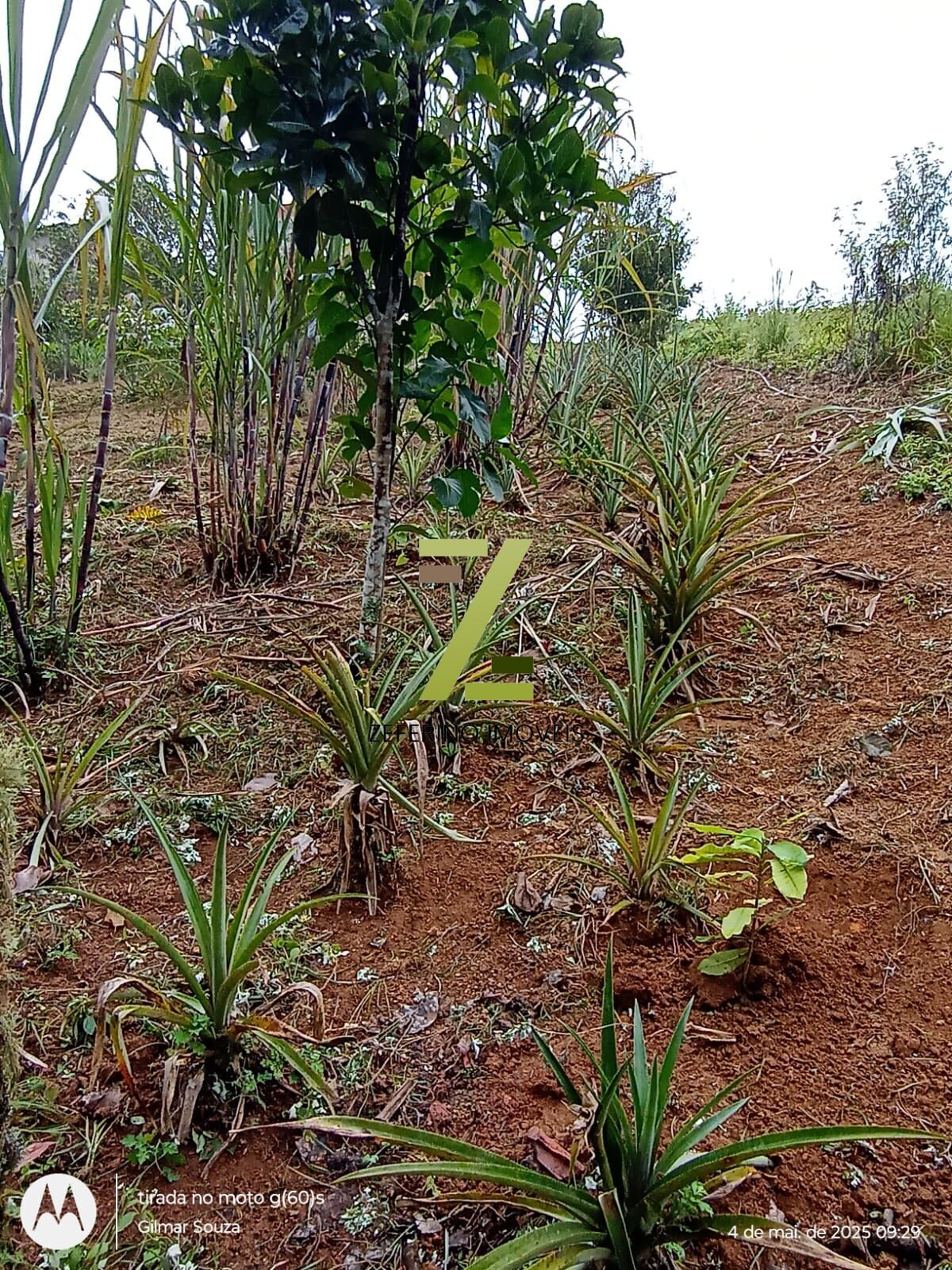 Chácara, 1 quarto, 1000 m² - Foto 11