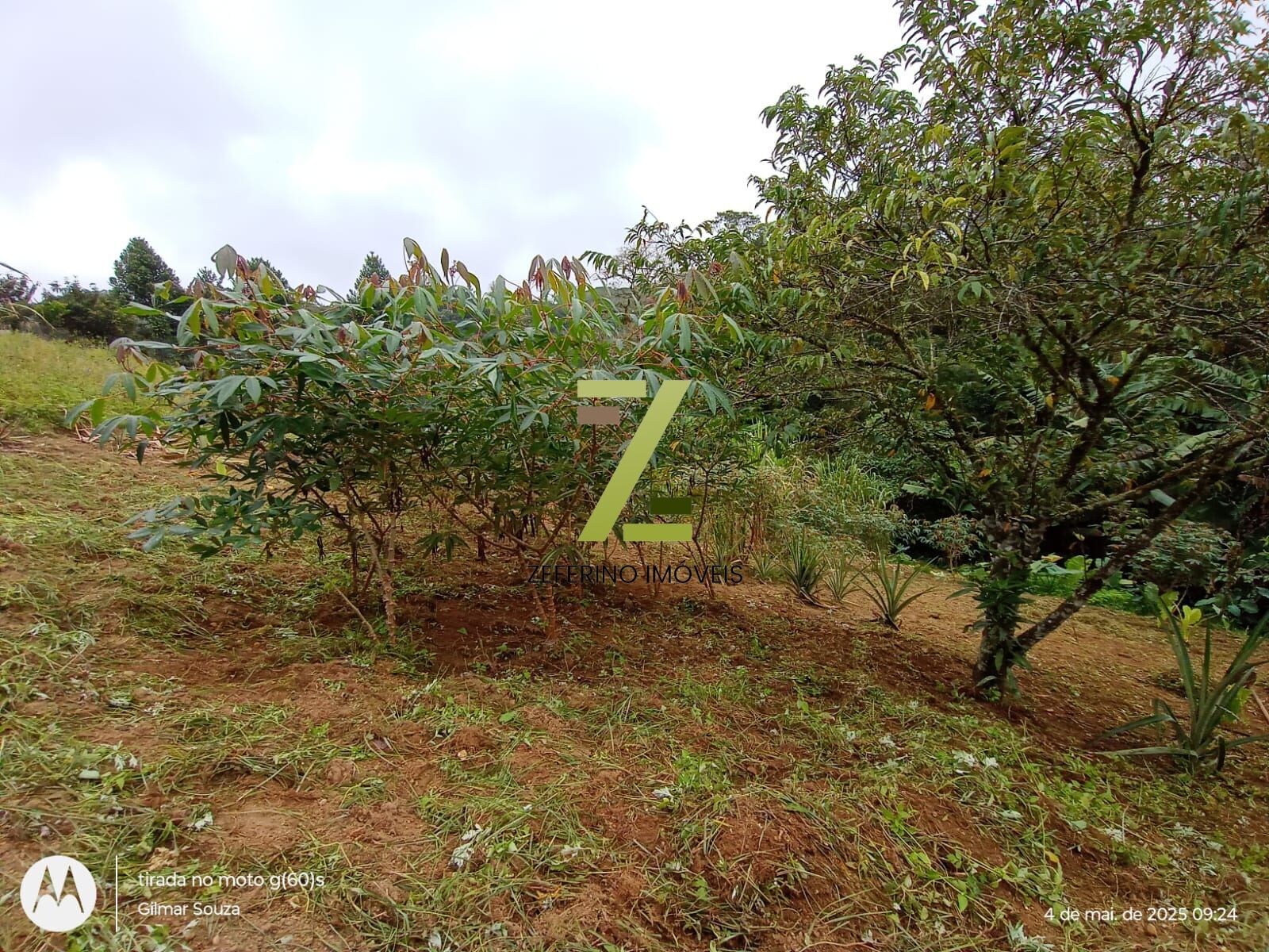 Chácara, 1 quarto, 1000 m² - Foto 17