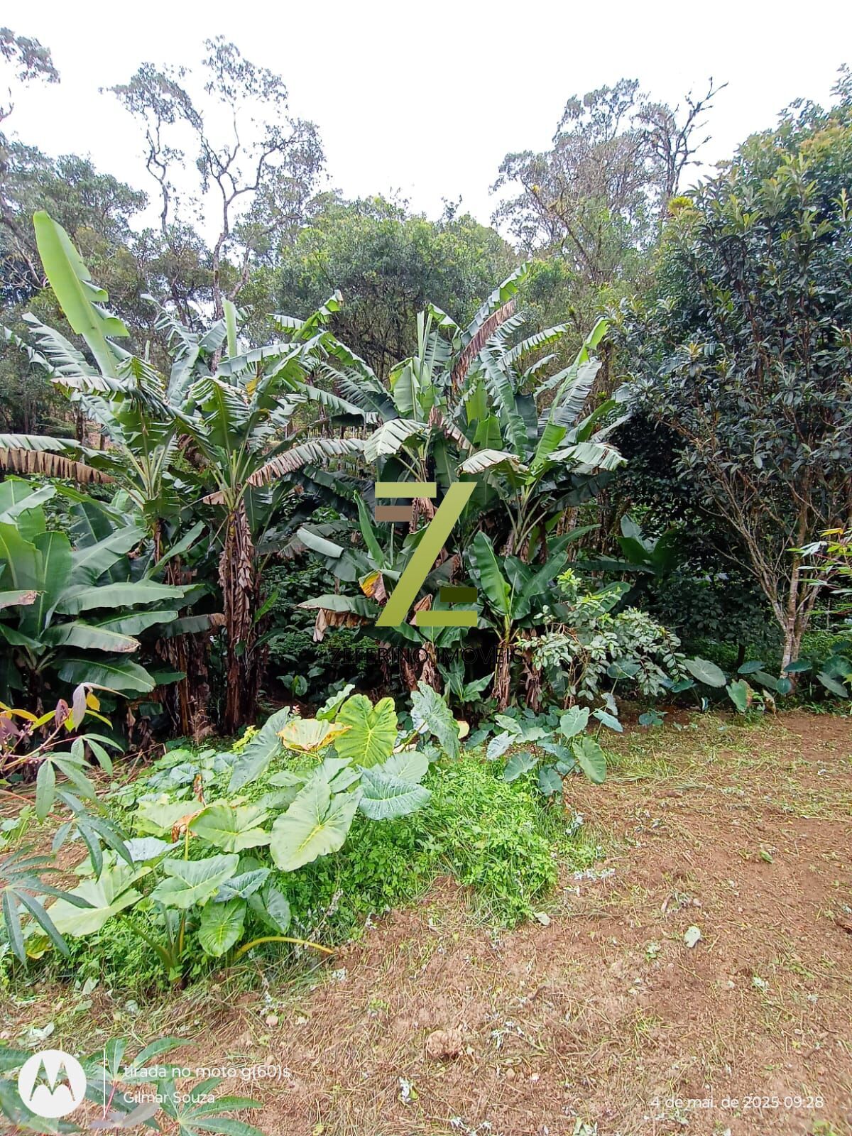 Chácara, 1 quarto, 1000 m² - Foto 16