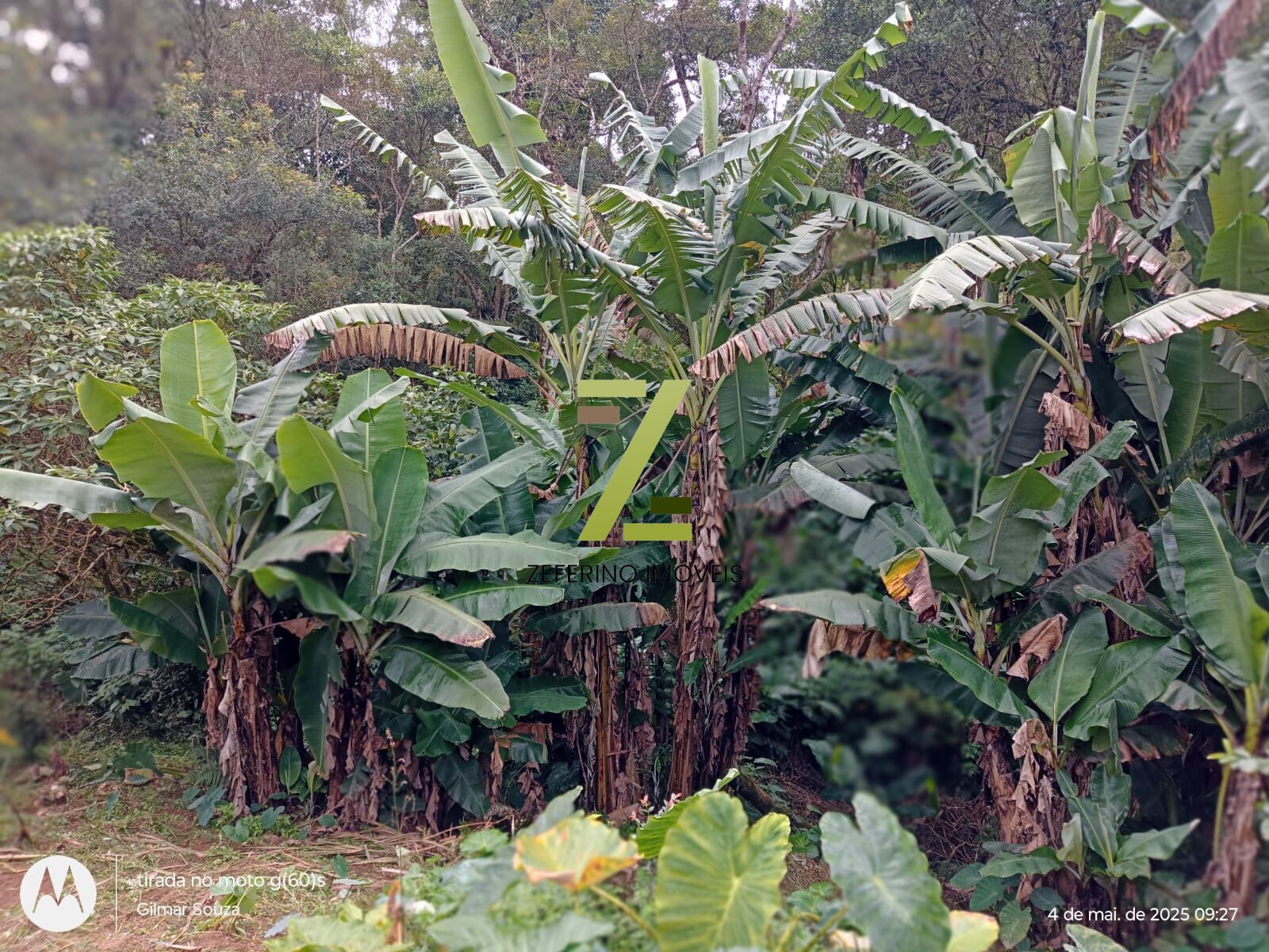 Chácara, 1 quarto, 1000 m² - Foto 10