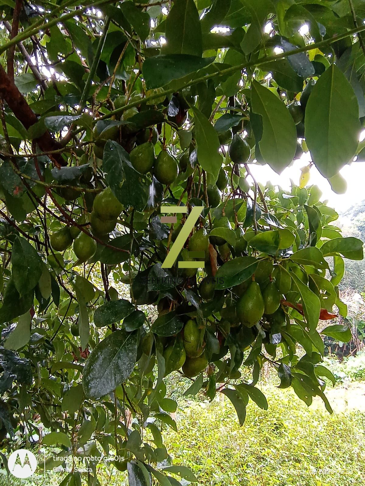 Chácara, 1 quarto, 1000 m² - Foto 18