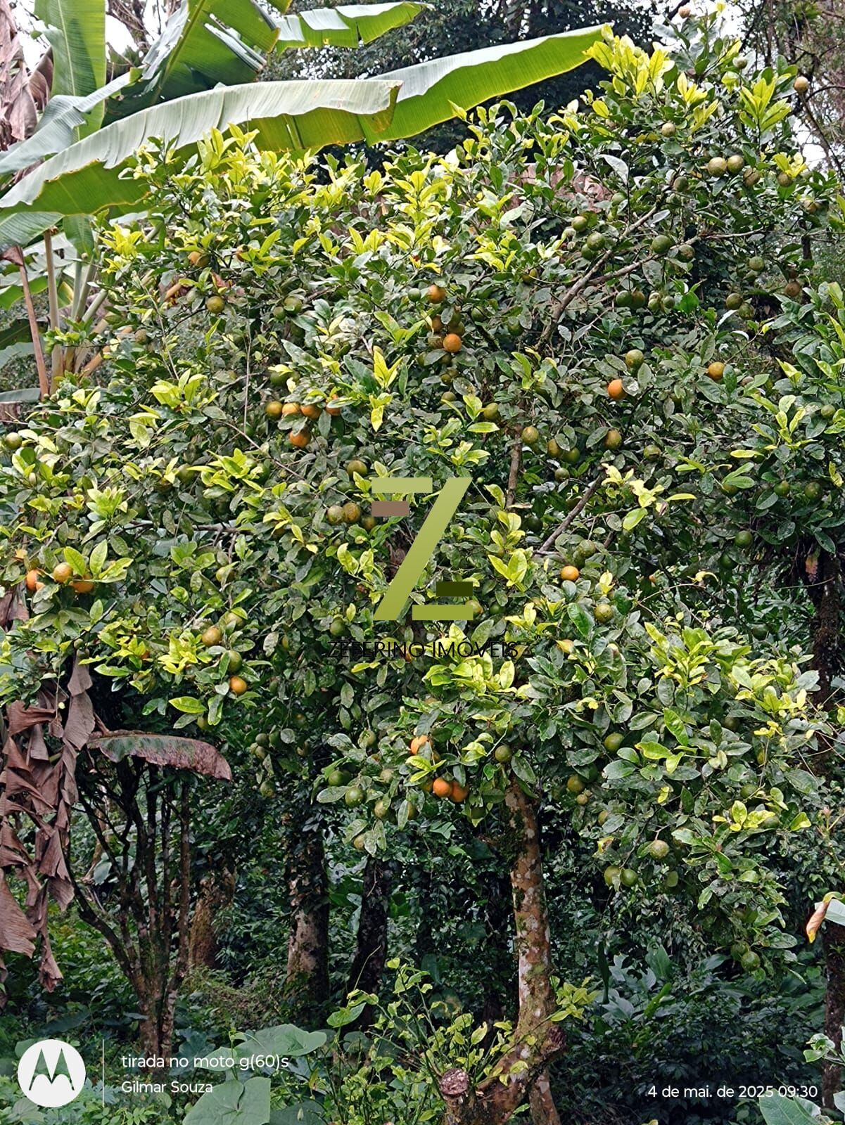 Chácara, 1 quarto, 1000 m² - Foto 14