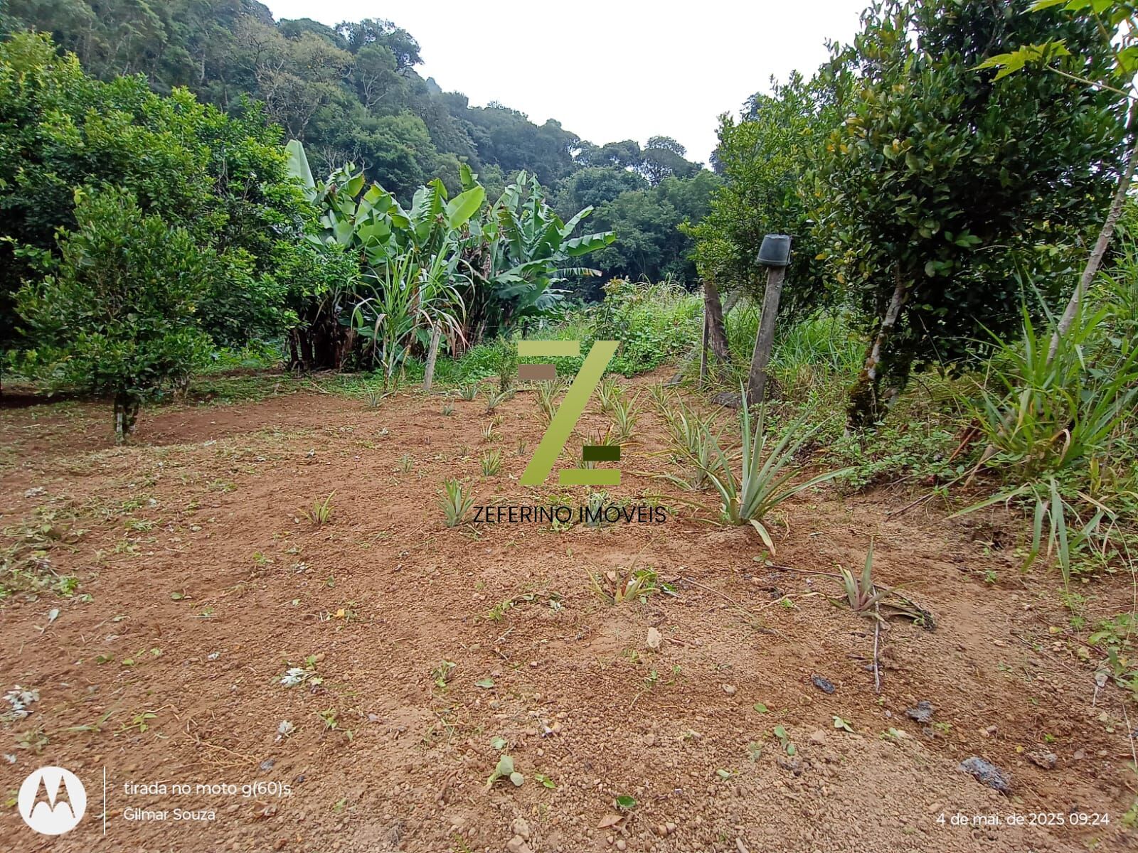 Chácara, 1 quarto, 1000 m² - Foto 13