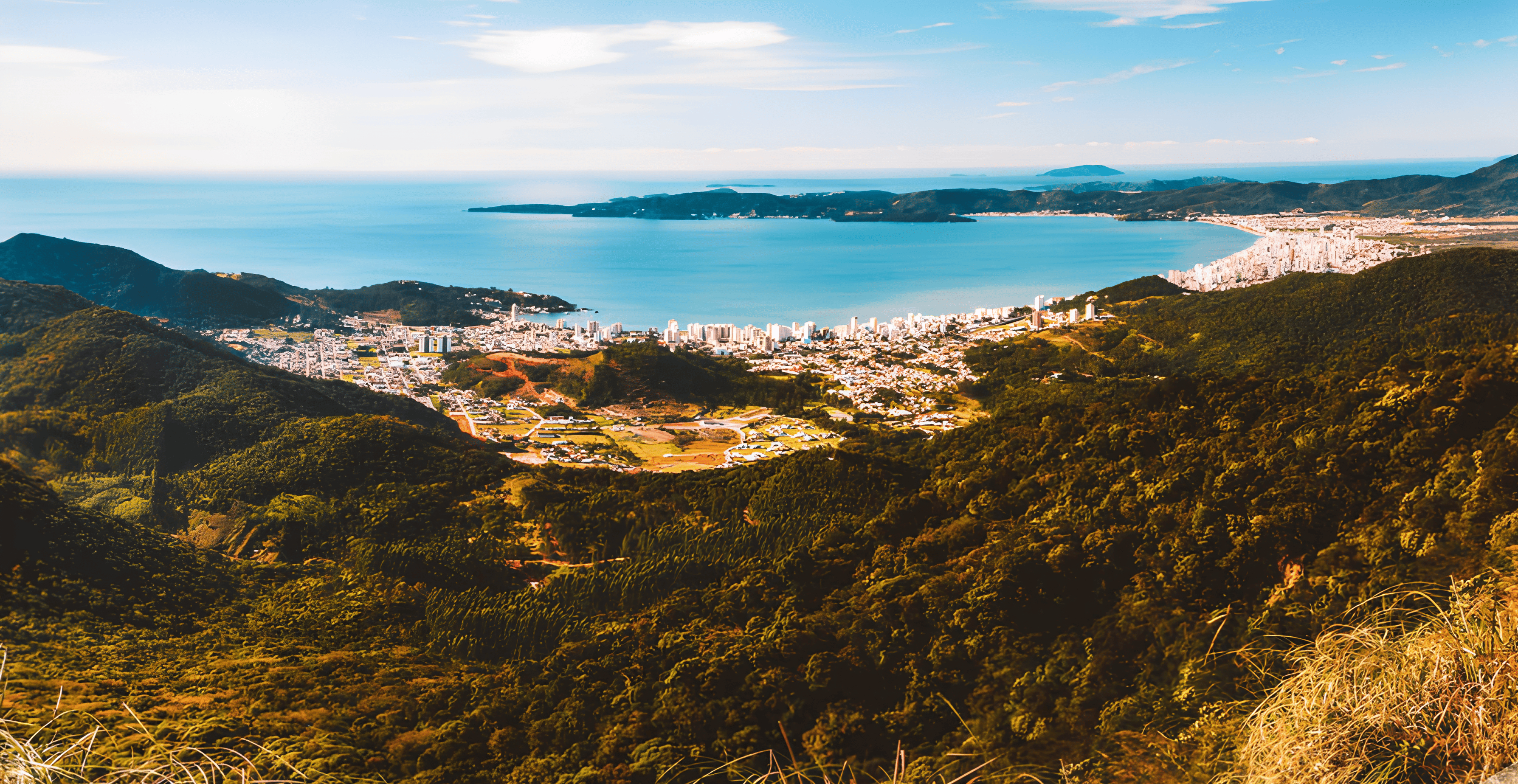 Carla Cristina Corretora de Imóveis