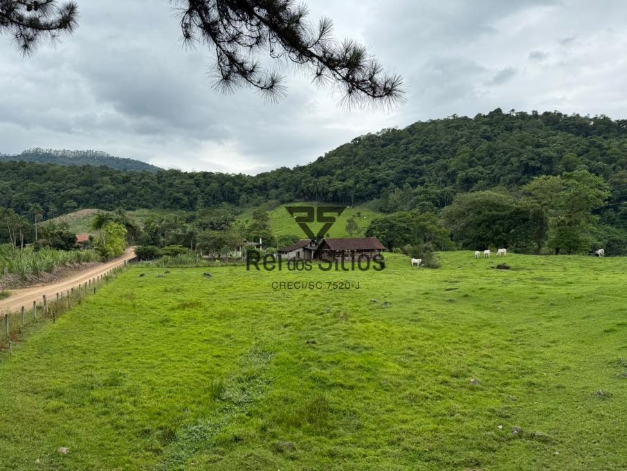 Sítio à venda no bairro Consultar em Rodeio/SC — foto 3