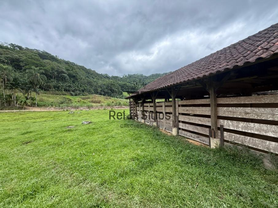 Sítio à venda no bairro Consultar em Rodeio/SC — foto 7
