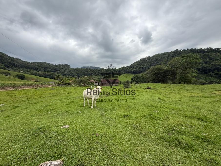 Sítio à venda no bairro Consultar em Rodeio/SC — foto 4