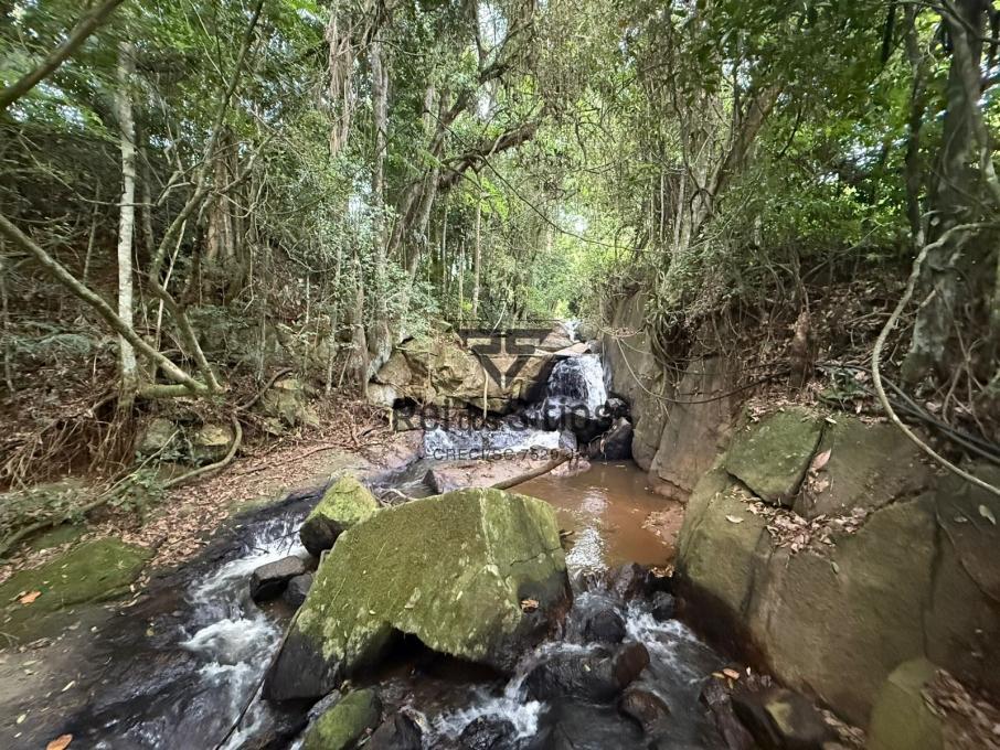 Sítio à venda no bairro Consultar em Rodeio/SC — foto 5