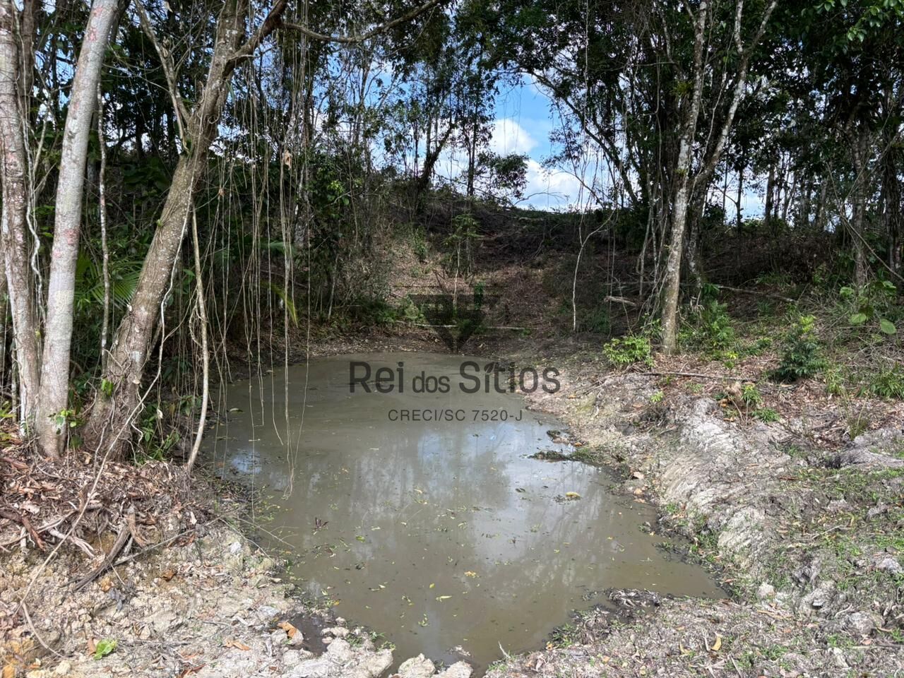 Terreno Rural para Sítio — foto 6