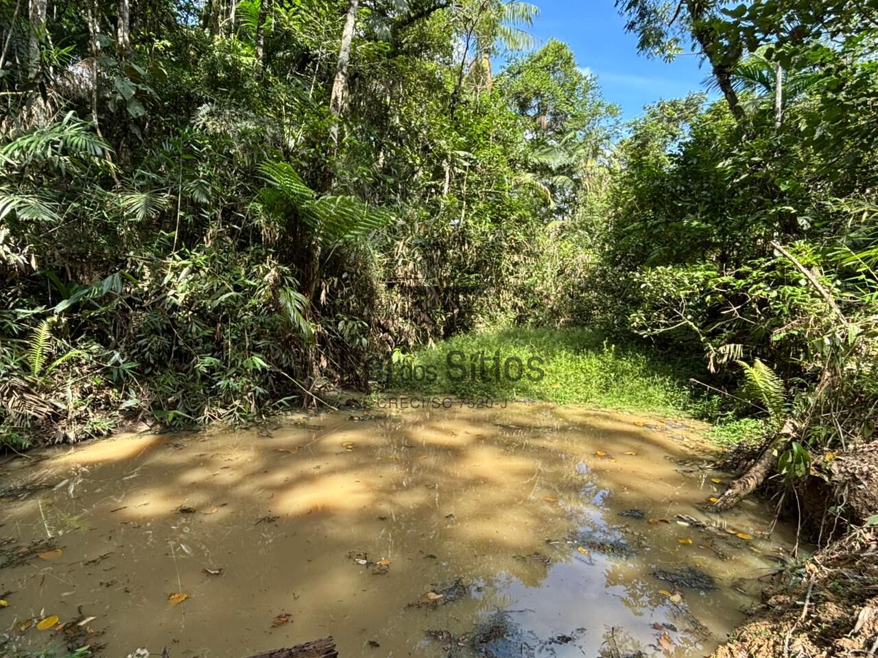 Terreno Rural para Sítio — foto 7