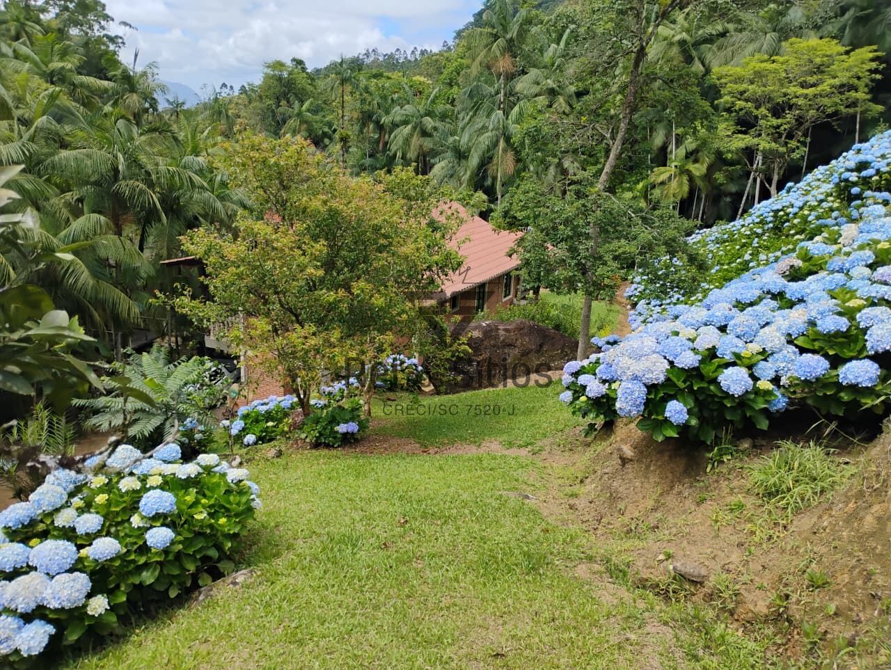 Sítio com casa, área de festas, riacho... — foto 5