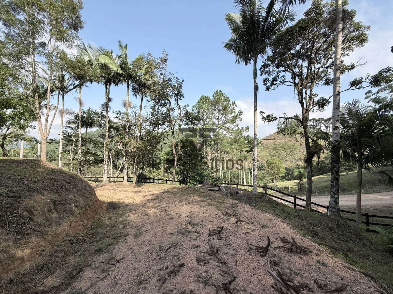Chácara com casa, nascente, lagoa... — foto 7