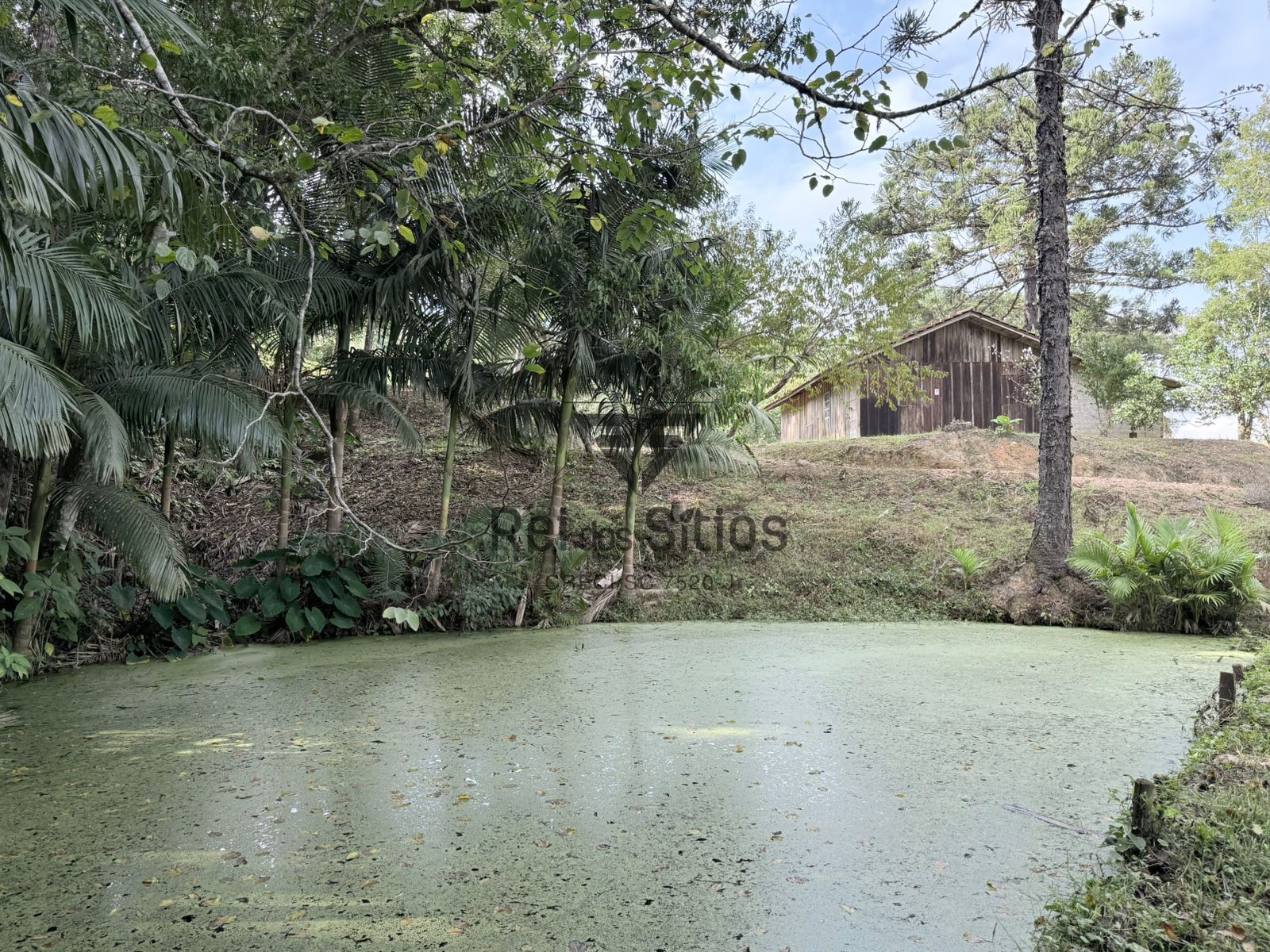 Chácara com casa, nascente, lagoa... — foto 2