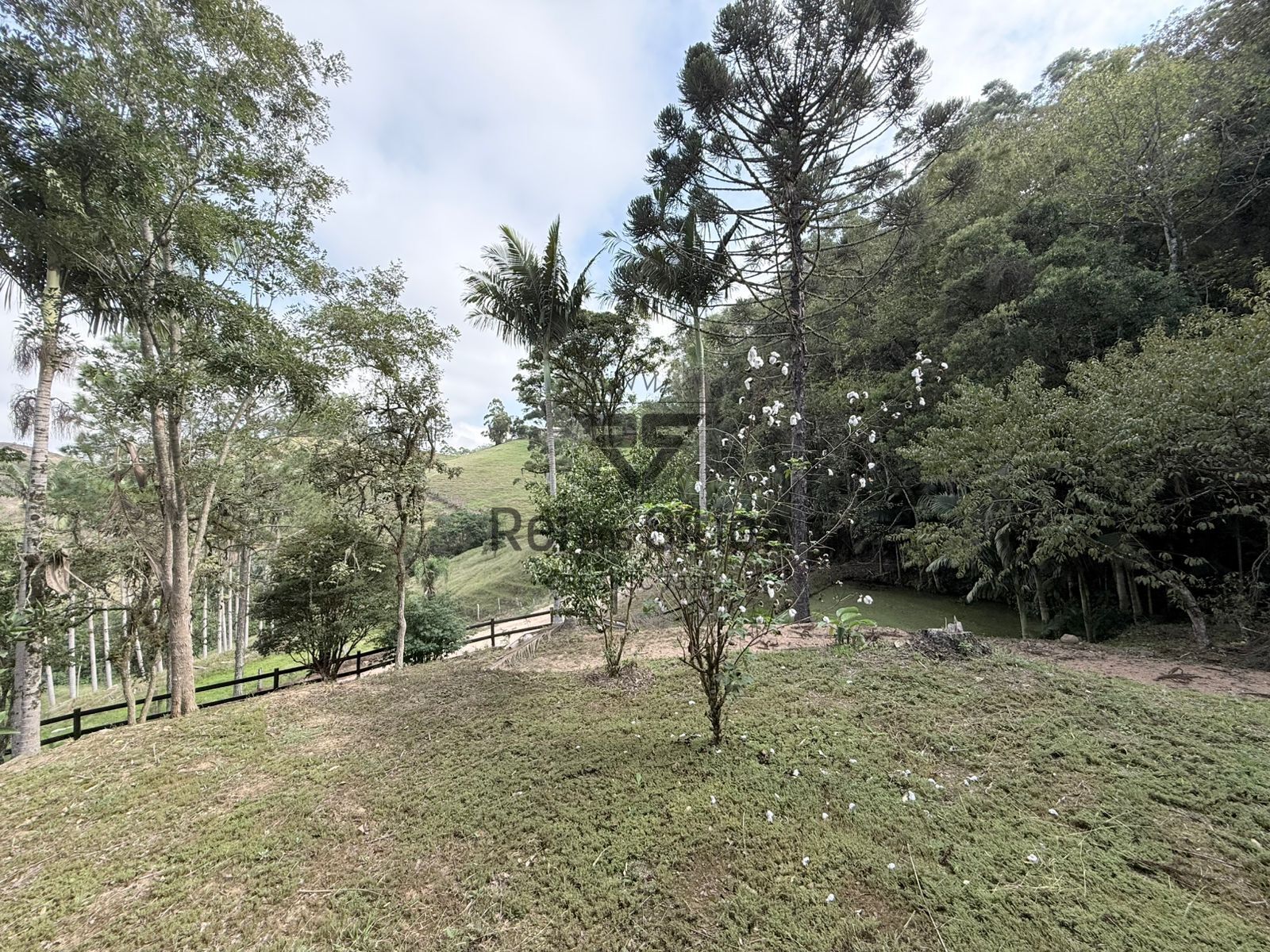 Chácara com casa, nascente, lagoa... — foto 5
