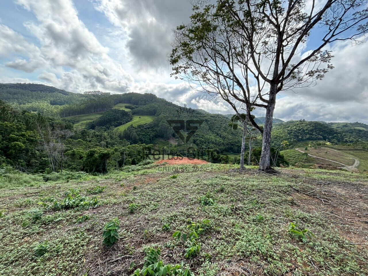 Terreno Rural para Sítio — foto 3