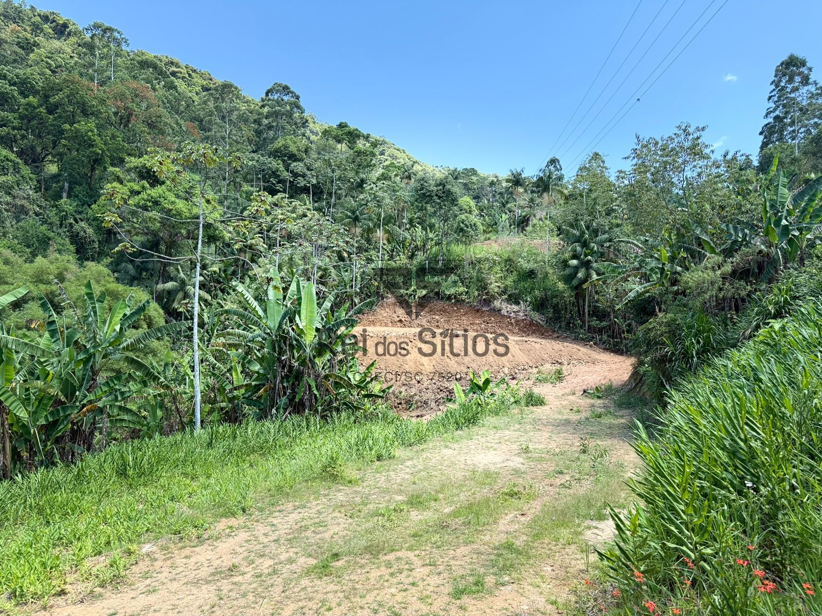 Terreno Rural para Chácara — foto 3