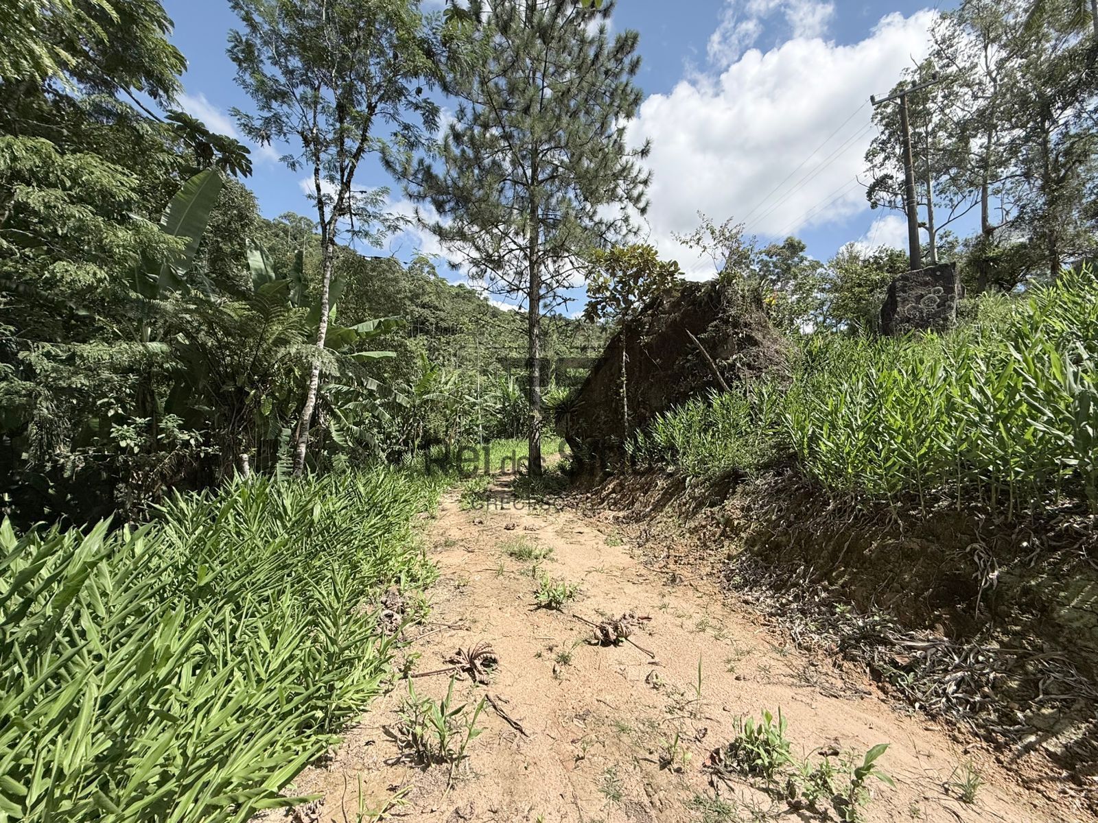 Terreno Rural para Chácara — foto 4