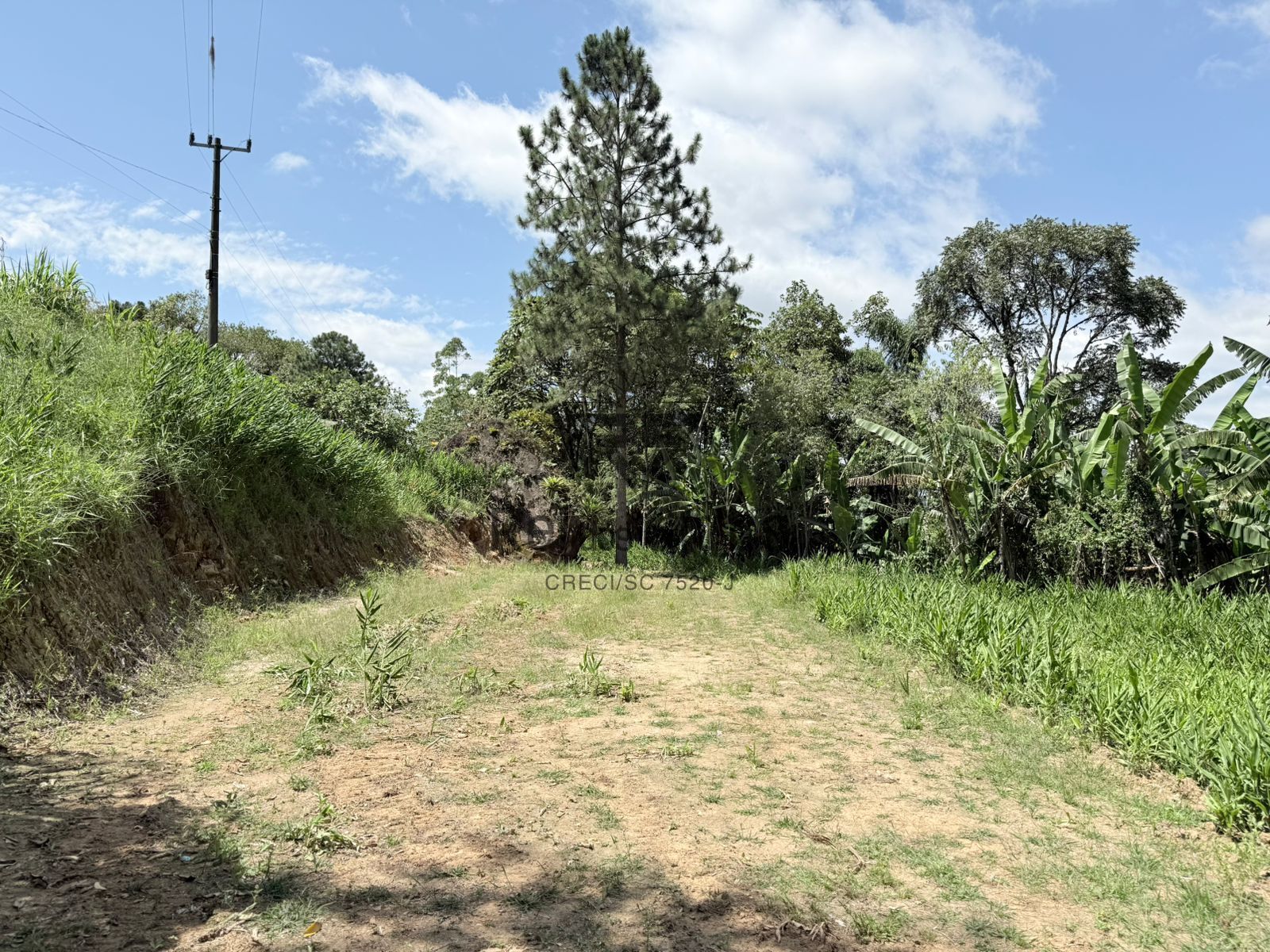 Terreno Rural para Chácara — foto 5