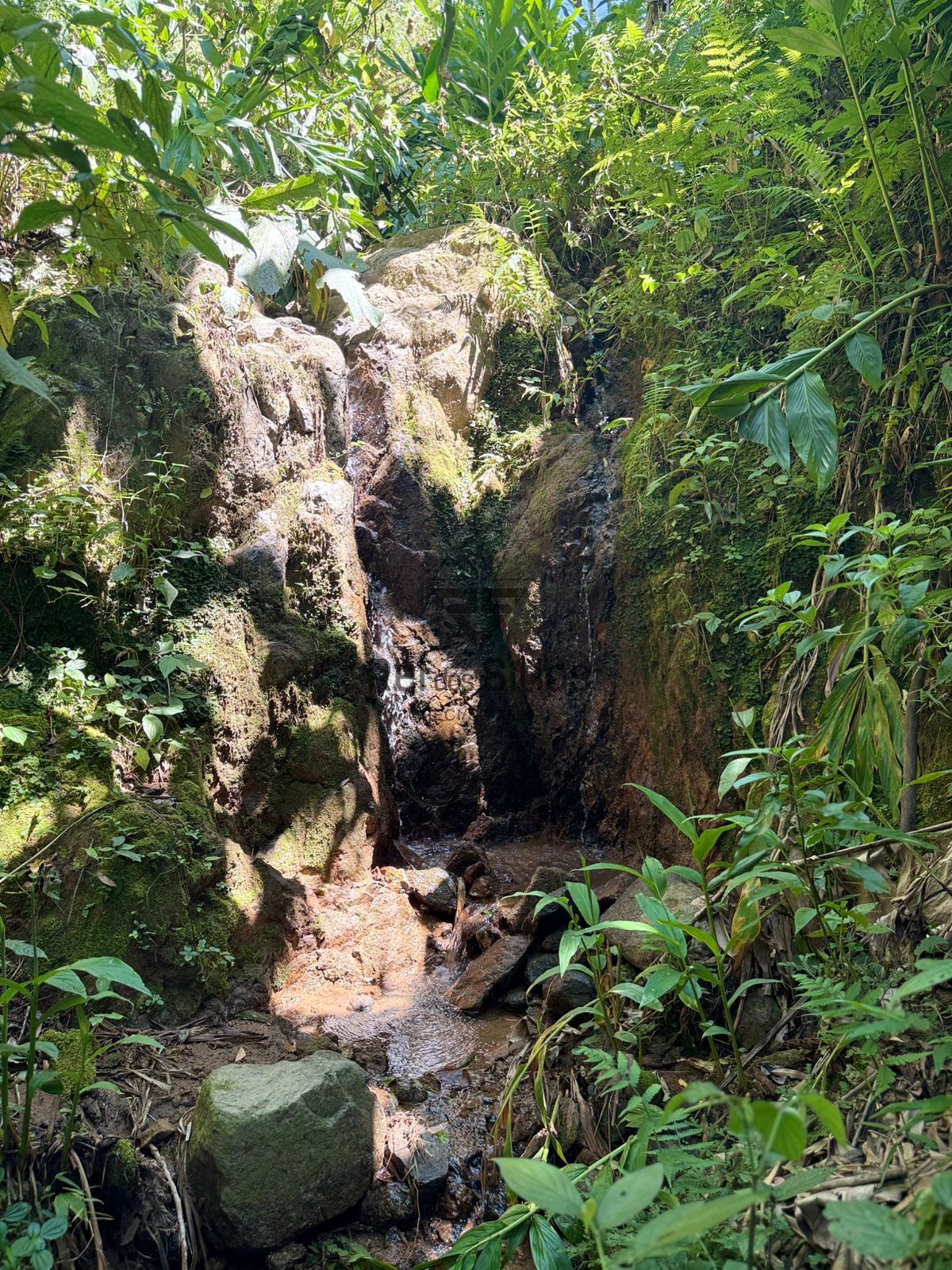 Terreno Rural para Chácara — foto 6