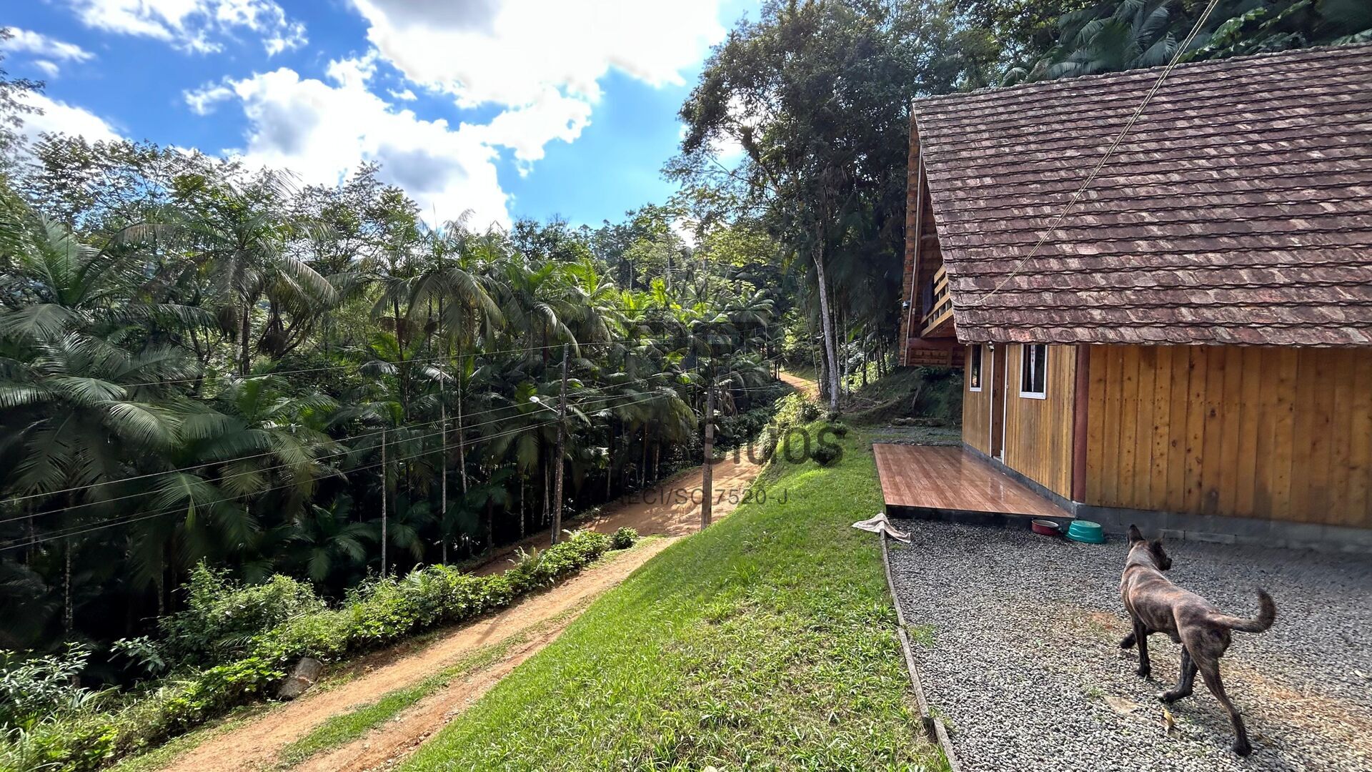 Chácara com Casa e Chalé! — foto 6
