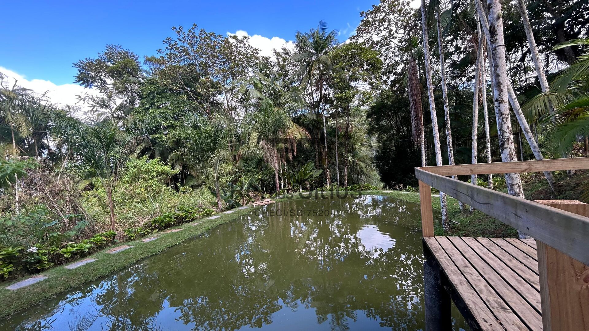 Chácara com Casa e Chalé! — foto 5