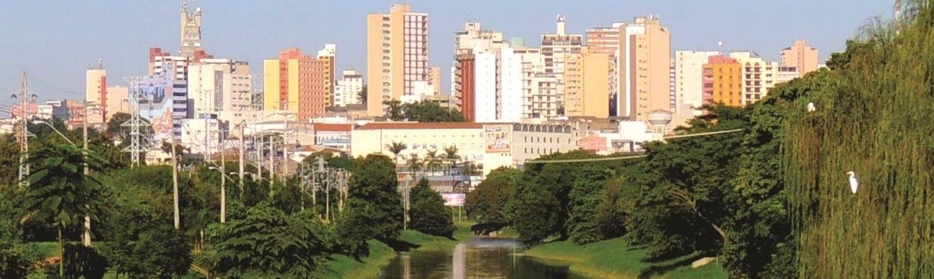 Joel Domingues CRECI 26.313