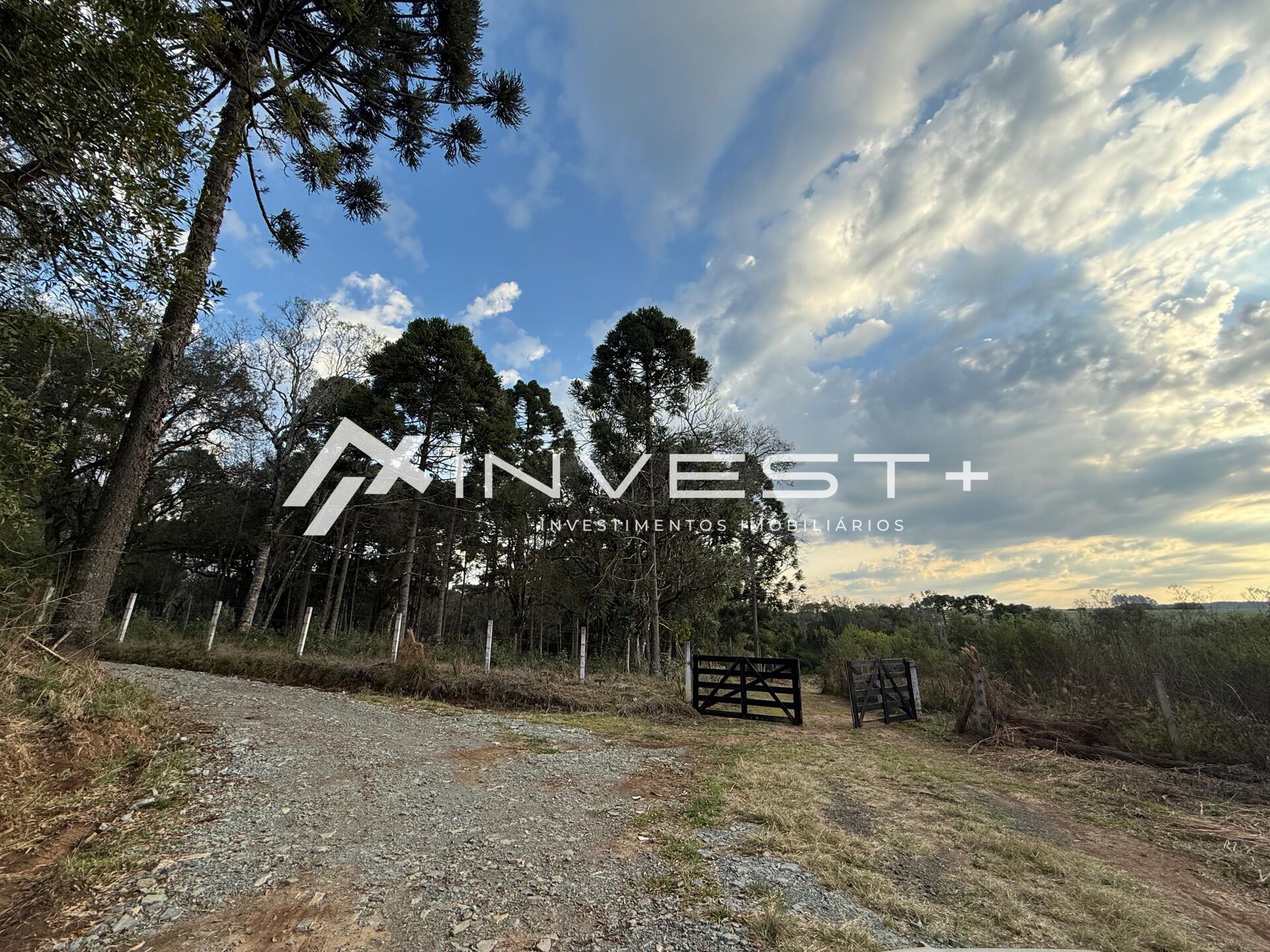 Chácara, 1815 m² - Foto 31