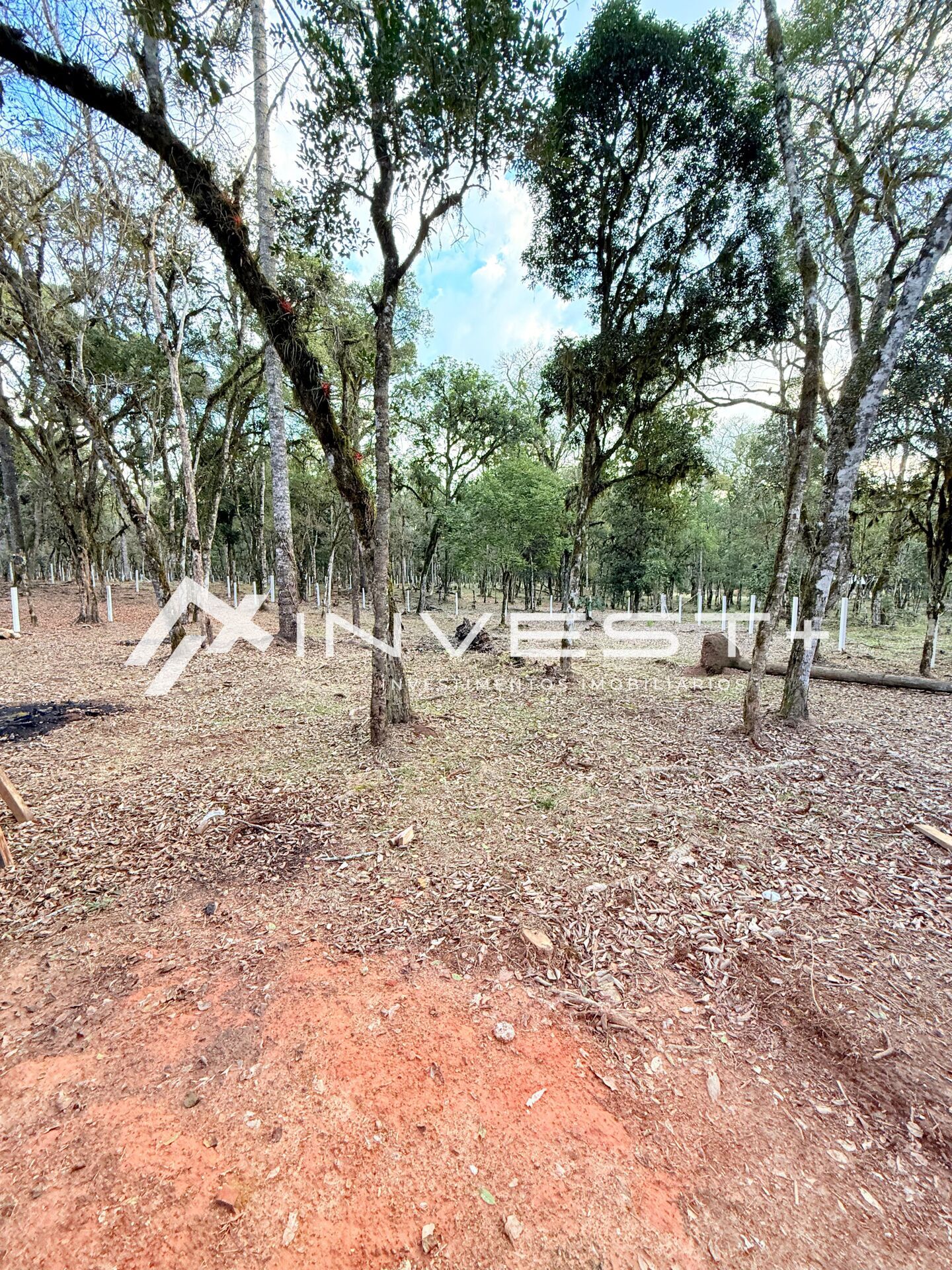 Chácara, 1815 m² - Foto 32