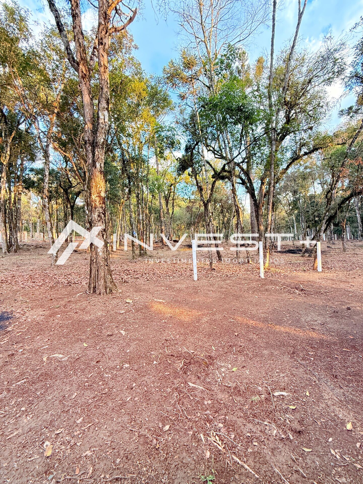 Chácara, 1815 m² - Foto 27