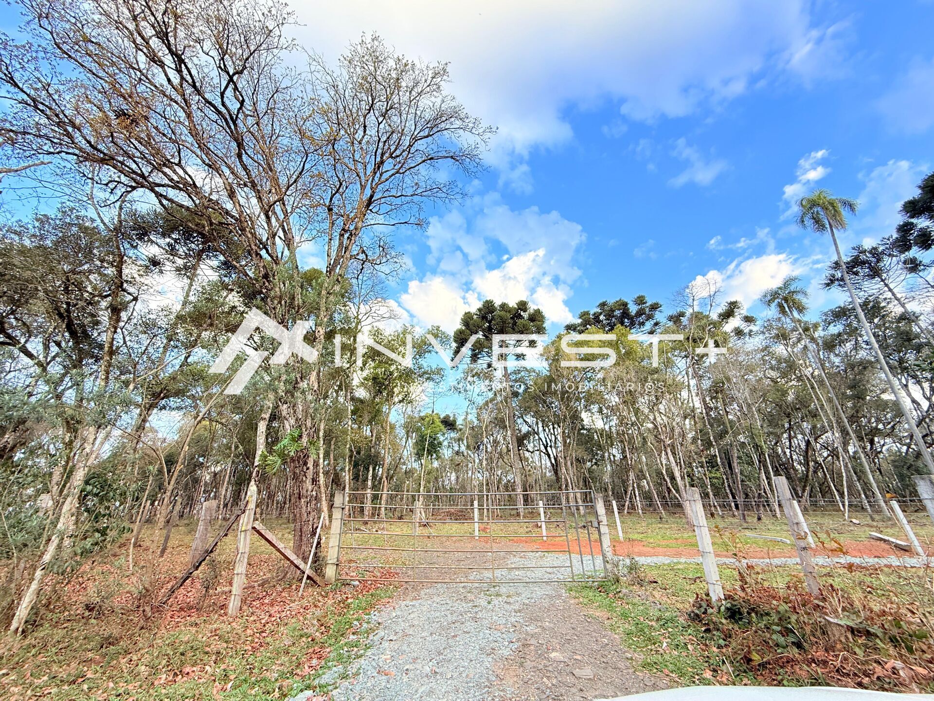 Chácara, 1815 m² - Foto 30