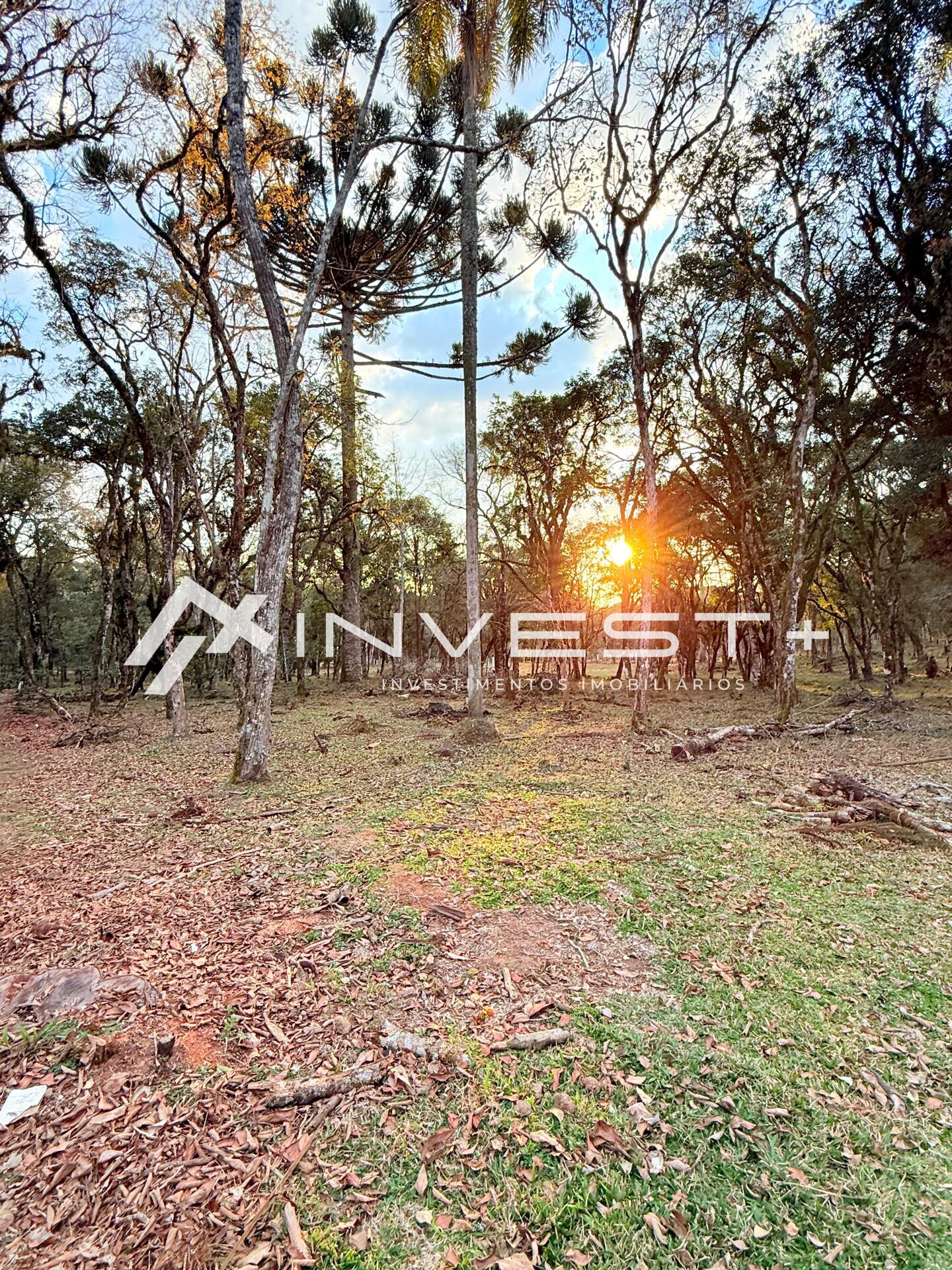 Chácara, 1815 m² - Foto 18