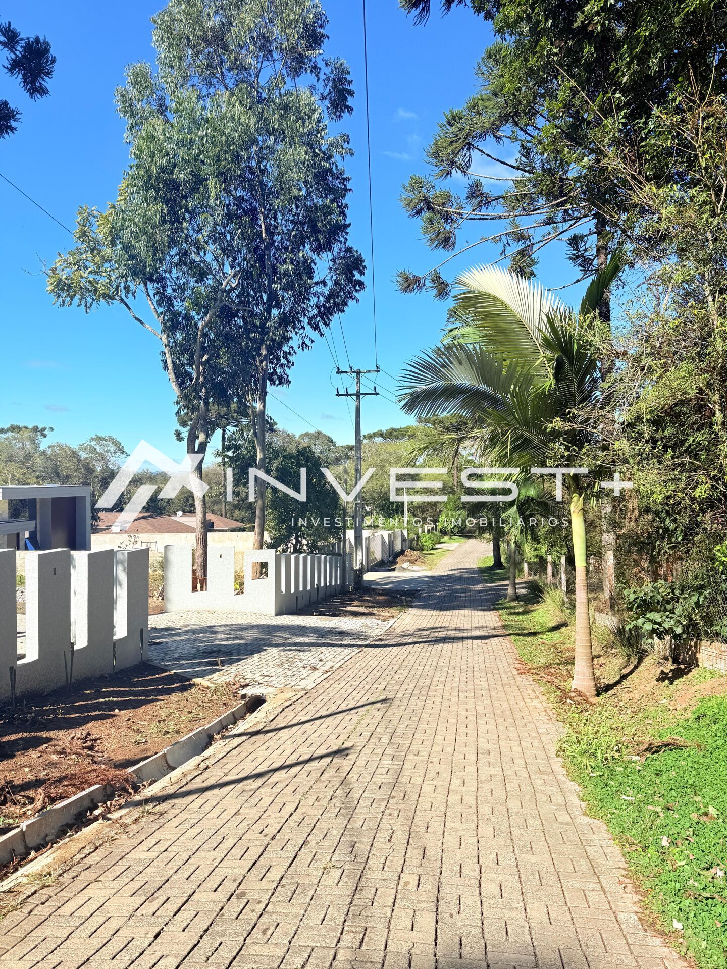 Casa, 3 quartos, 519 m² - Foto 2