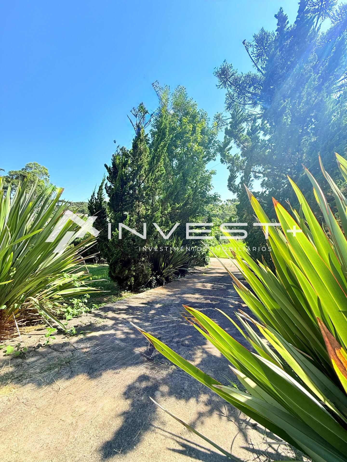 Casa, 4 quartos, 93 m² - Foto 6