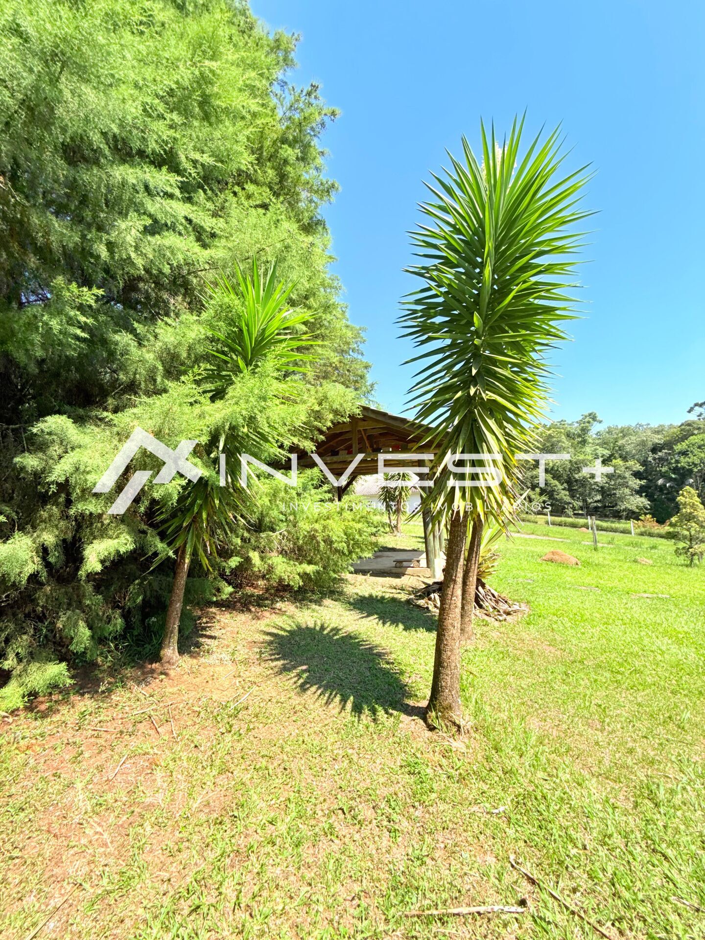 Casa, 4 quartos, 93 m² - Foto 25