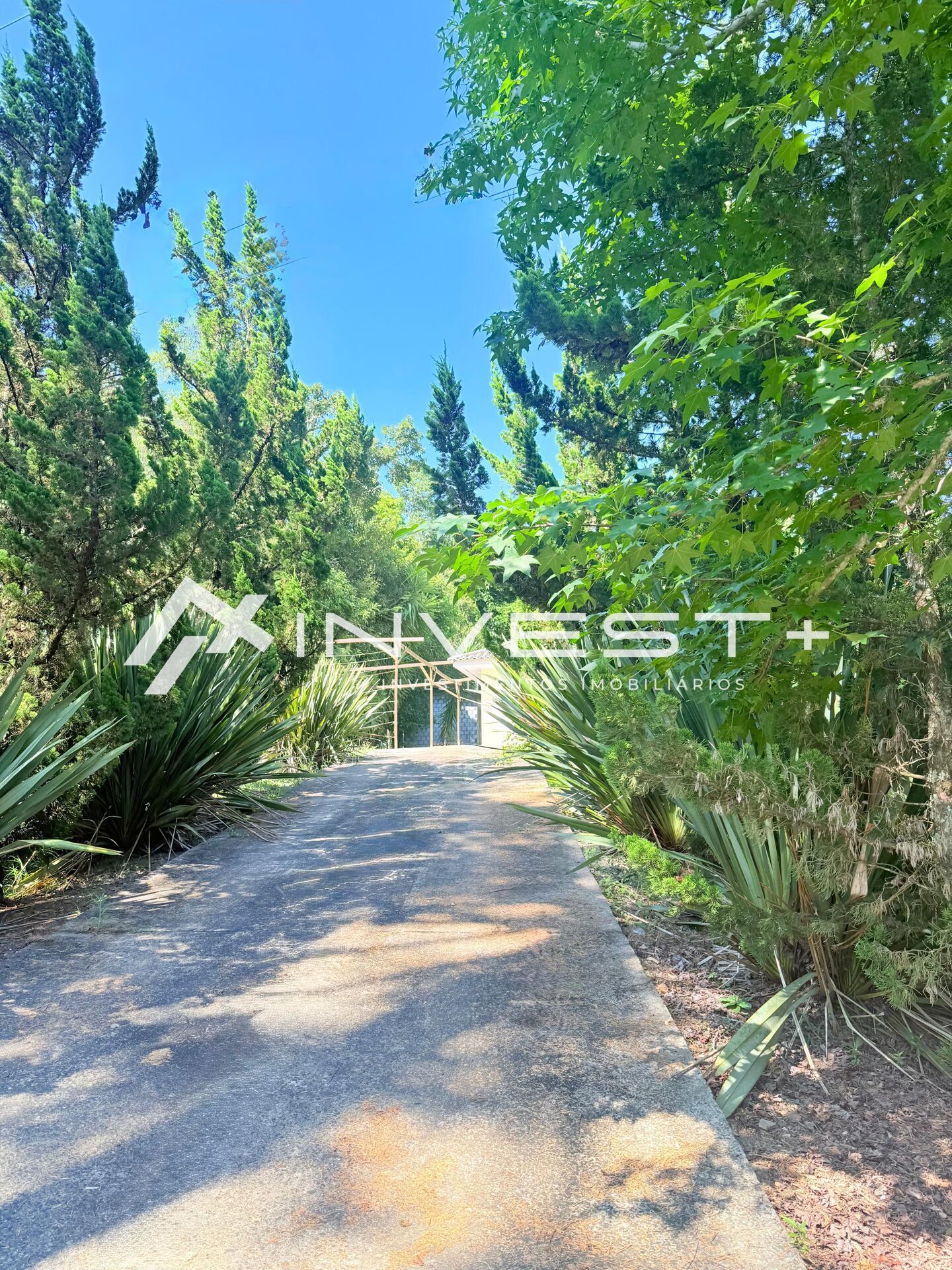 Casa, 4 quartos, 93 m² - Foto 5