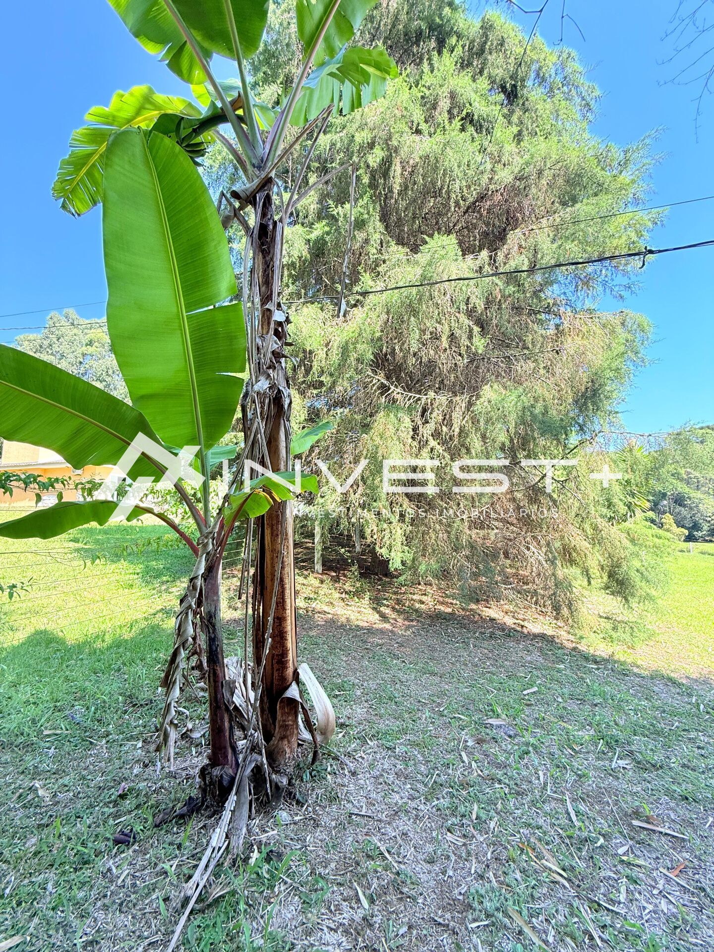 Casa, 4 quartos, 93 m² - Foto 22