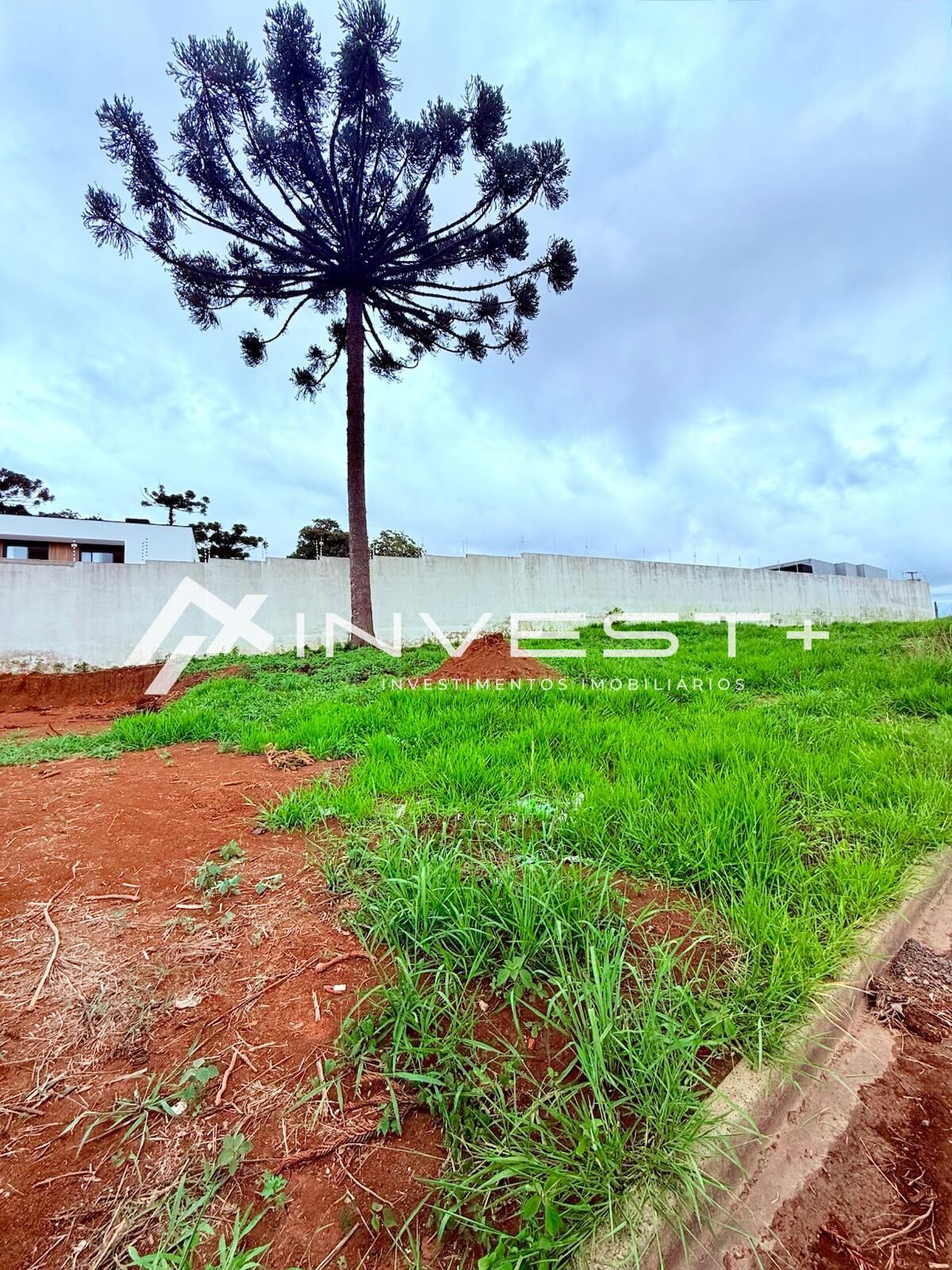 Terreno, 256 m² - Foto 1
