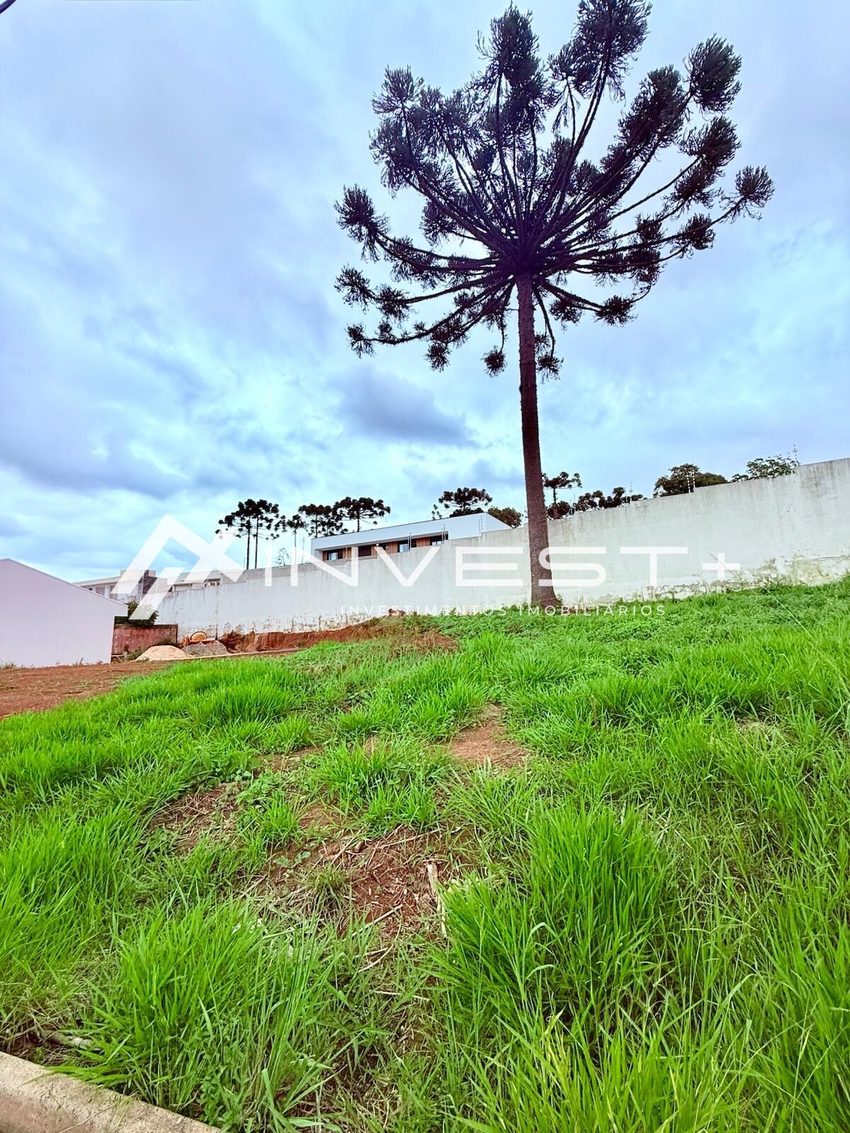 Terreno, 256 m² - Foto 3