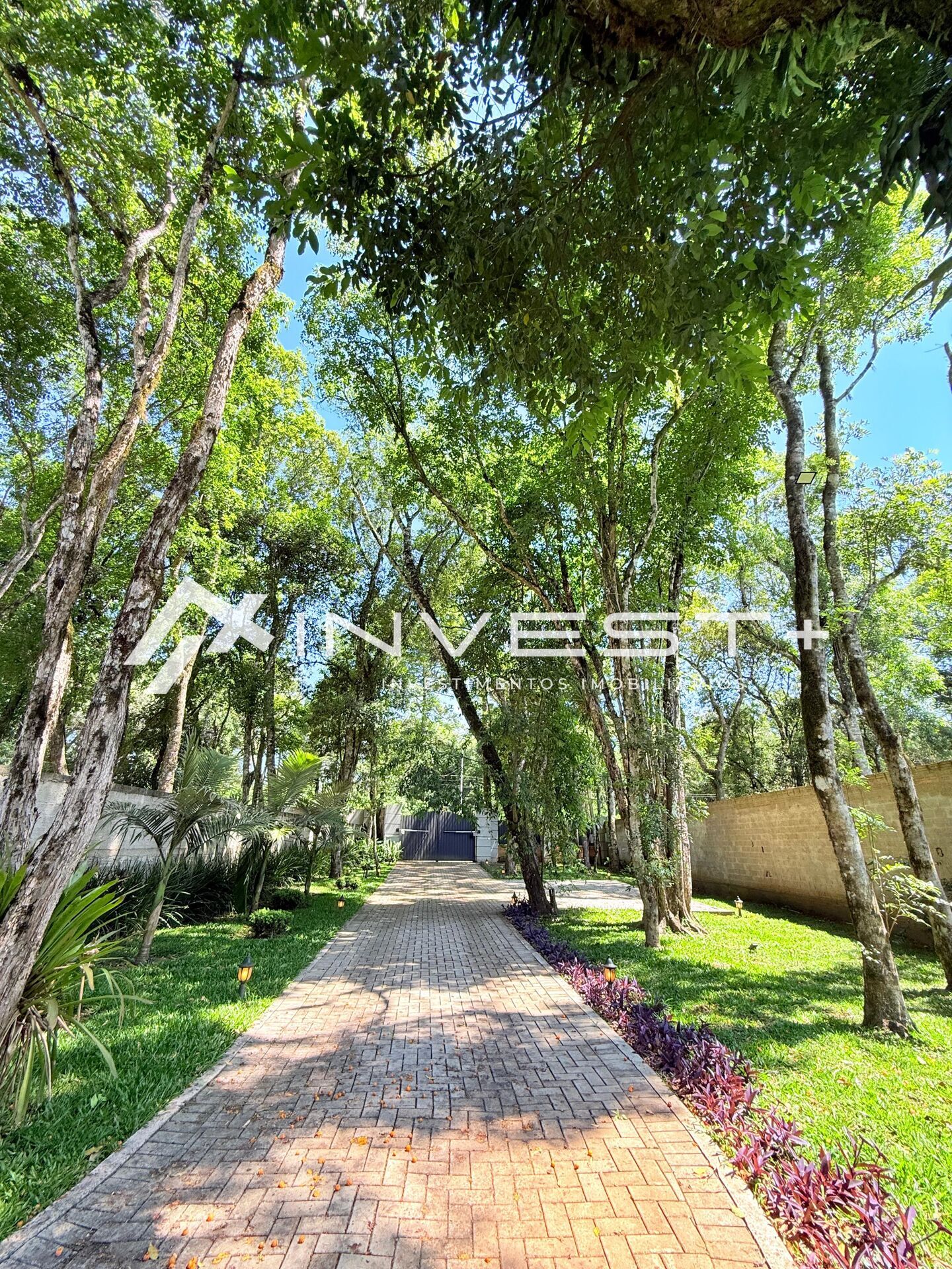 Casa, 2 quartos, 350 m² - Foto 6