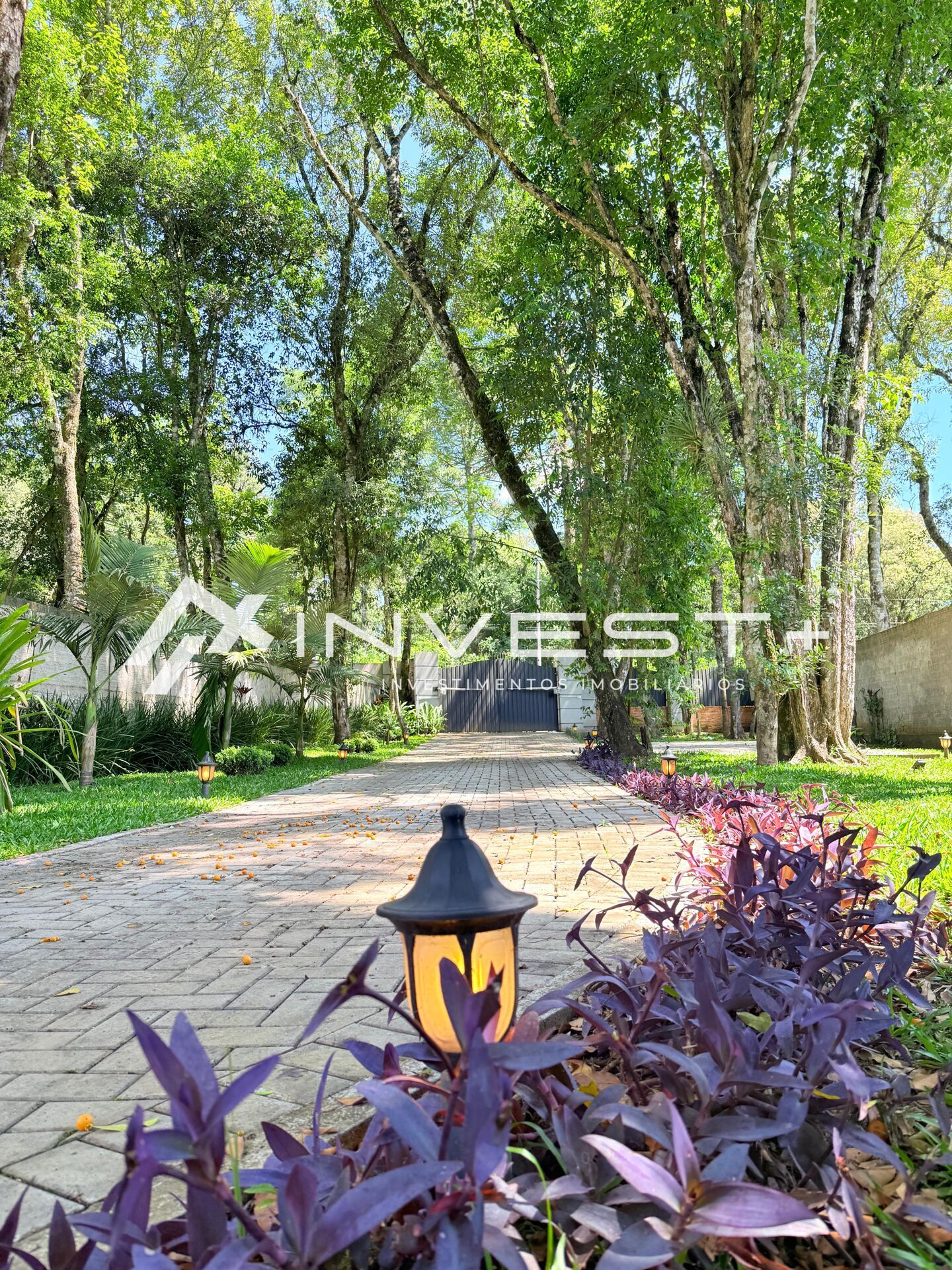 Casa, 2 quartos, 350 m² - Foto 5