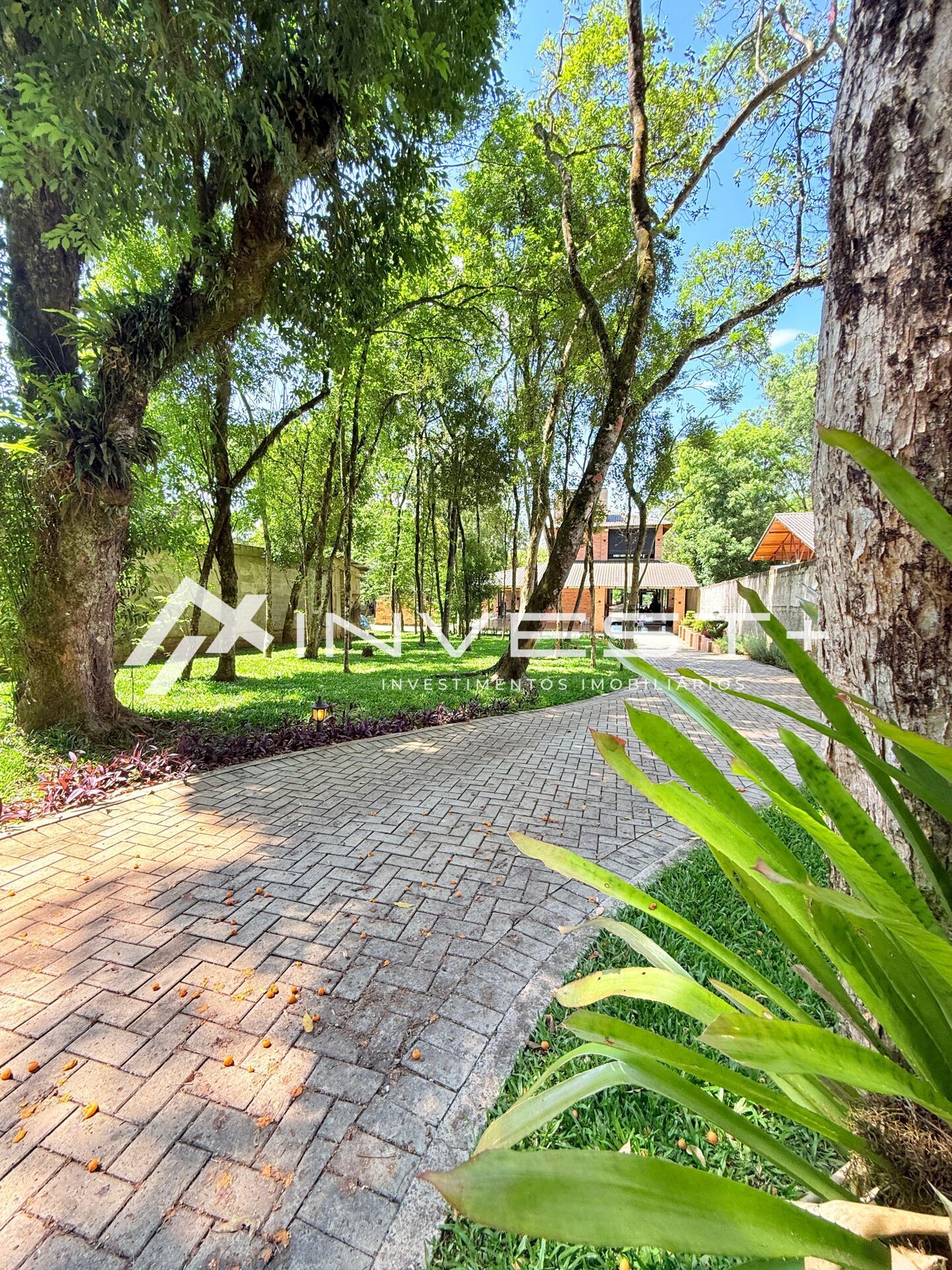 Casa, 2 quartos, 350 m² - Foto 8