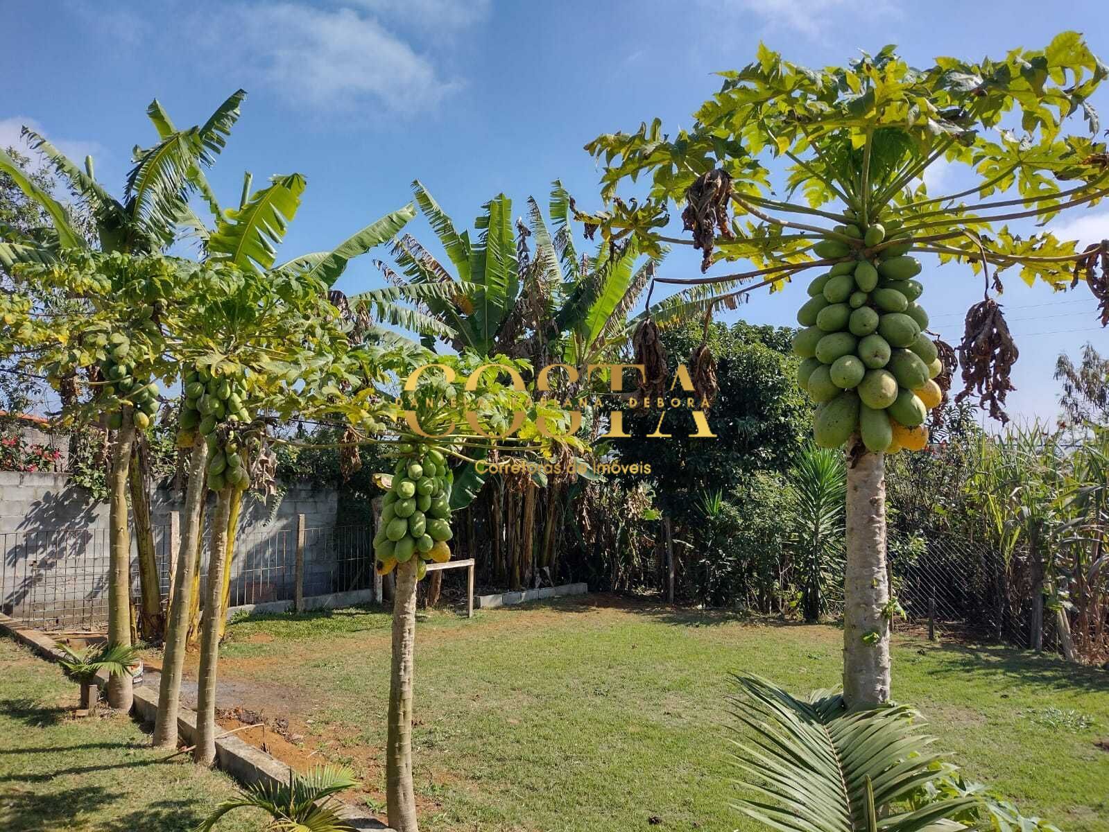 Chácara, 3 quartos, 1050 m² - Foto 7