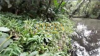 Chácara, 3 quartos, 4950 m² - Foto 28